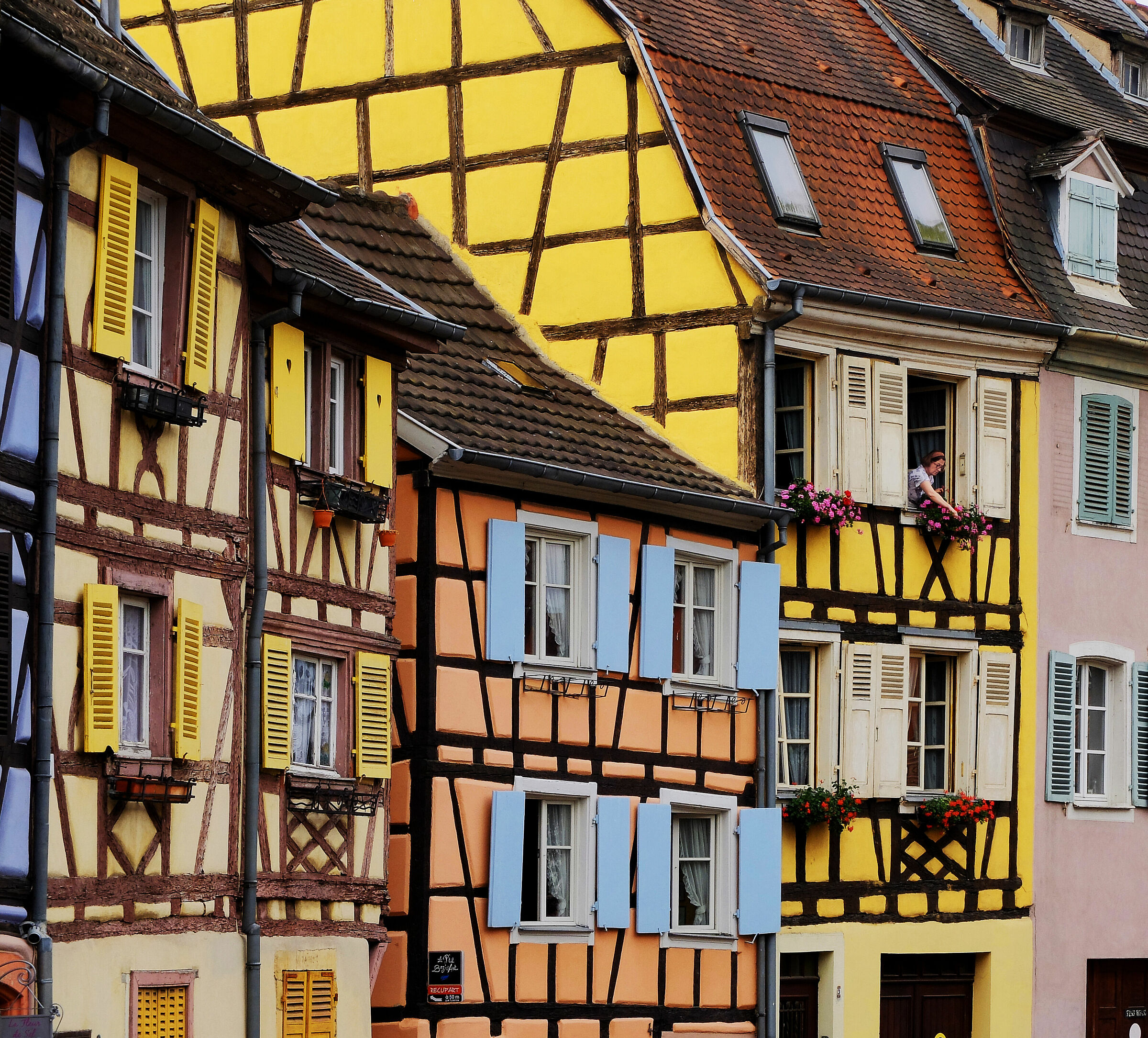 Colmar's colors