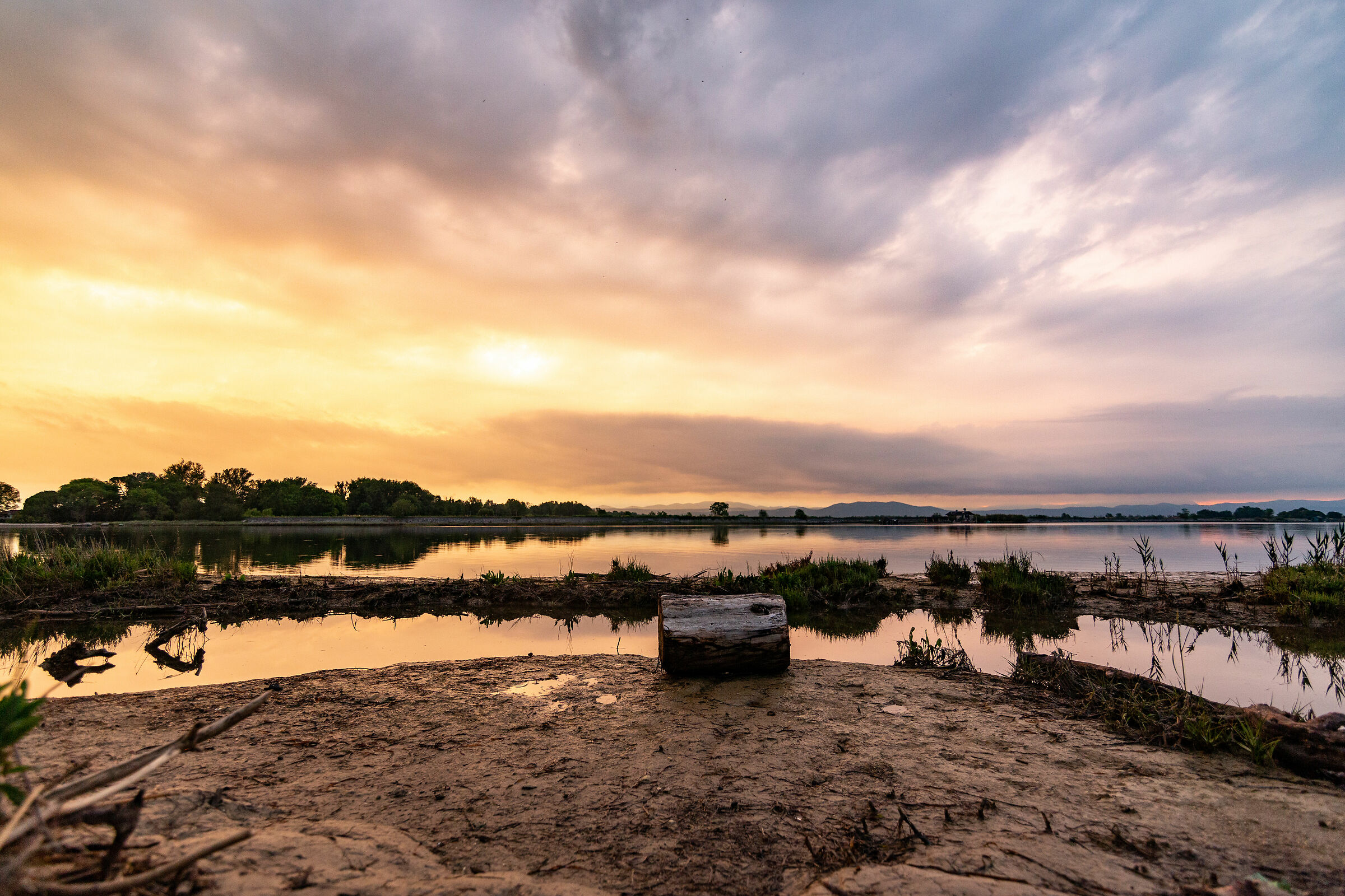 L'Isonzo, Isola della Cona.