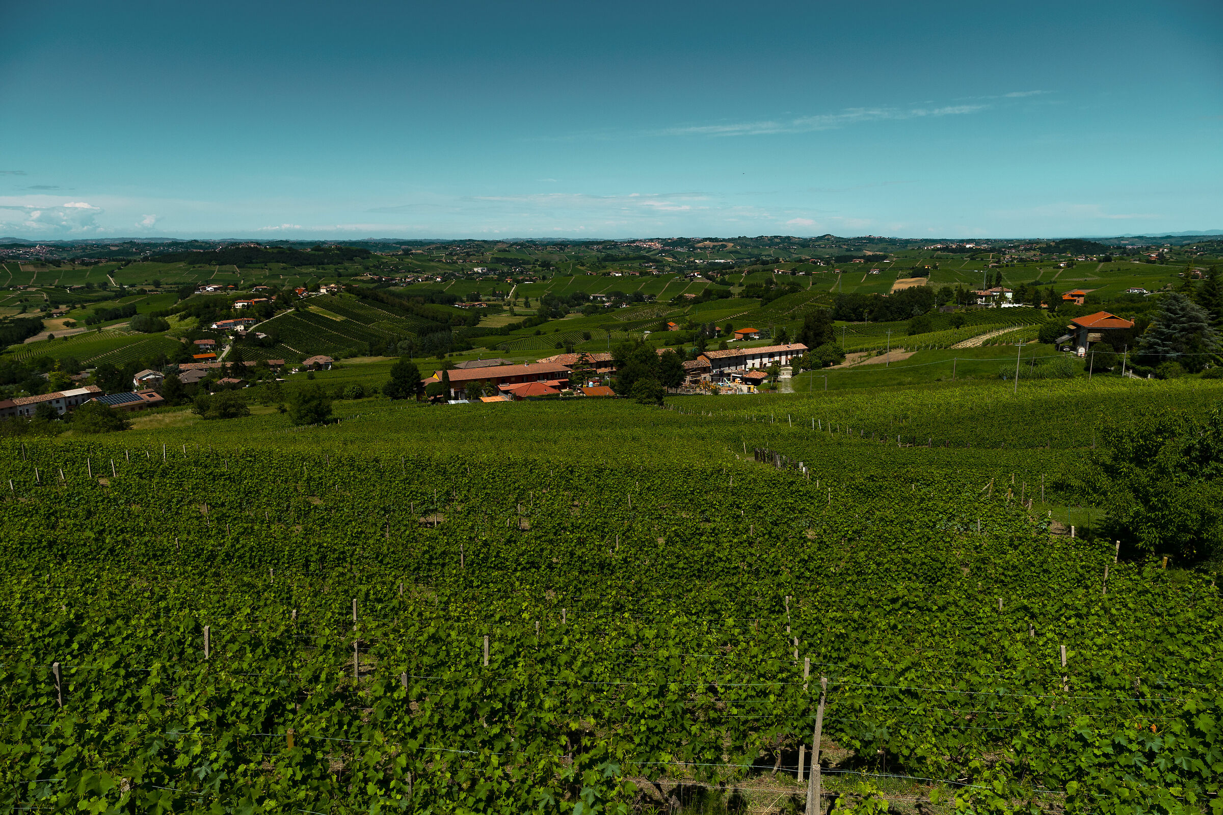Vineyards and hills of Calosso - Unesco