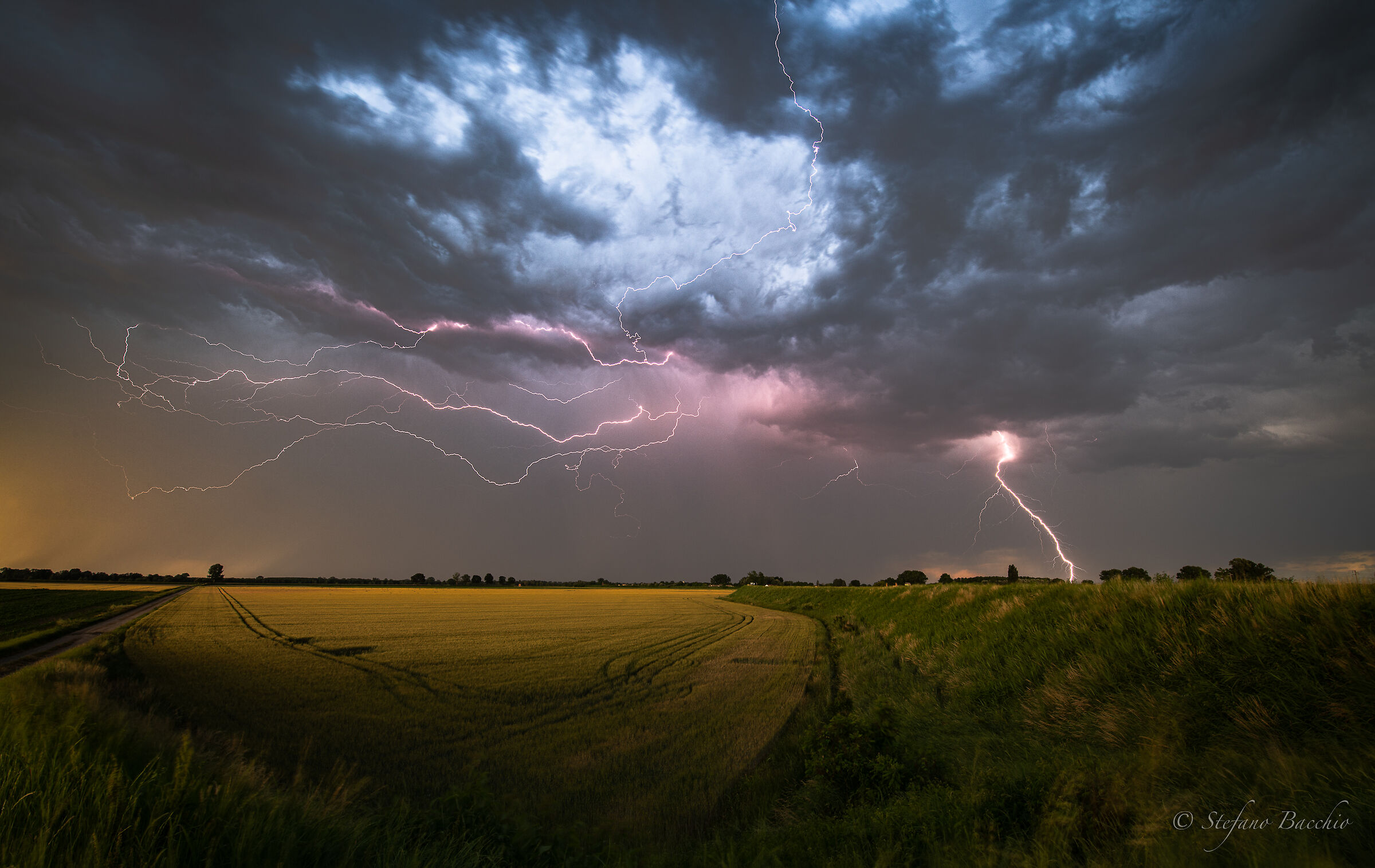 On the banks of the Po