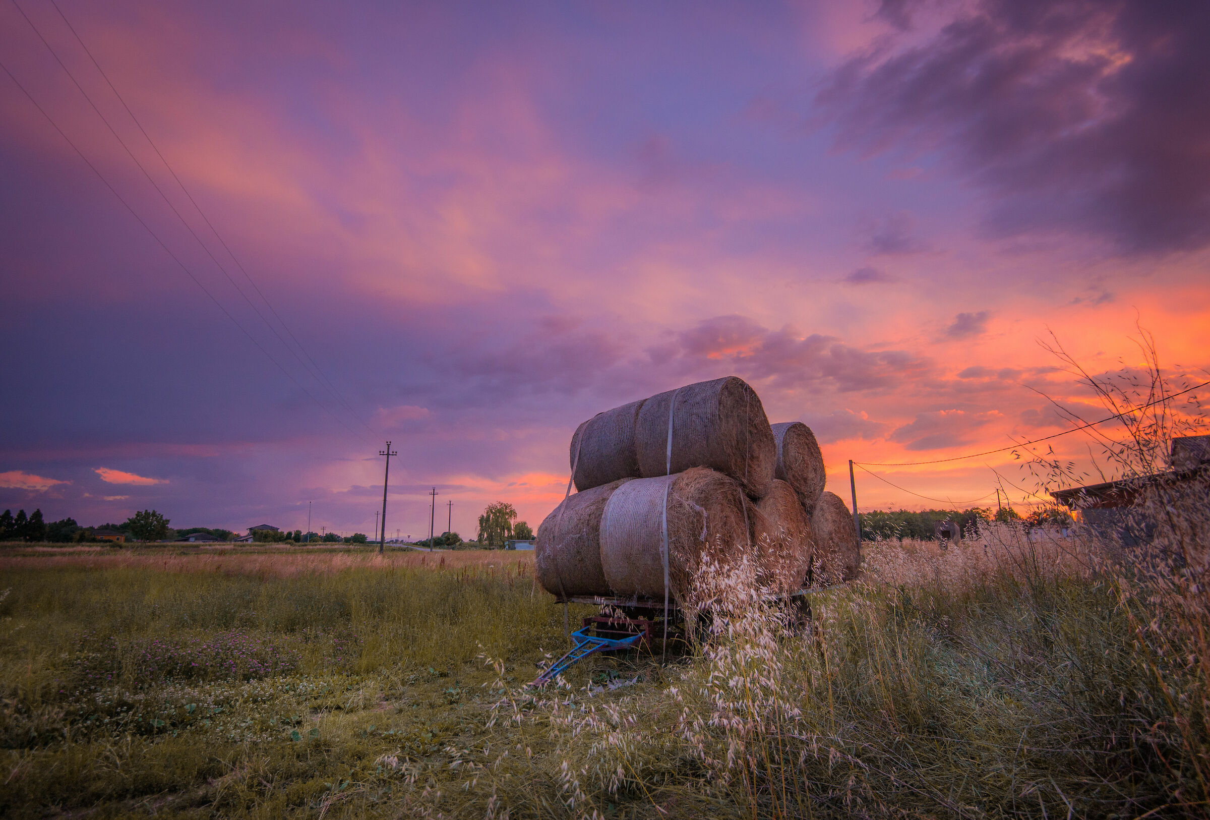 June in the Padana Plain