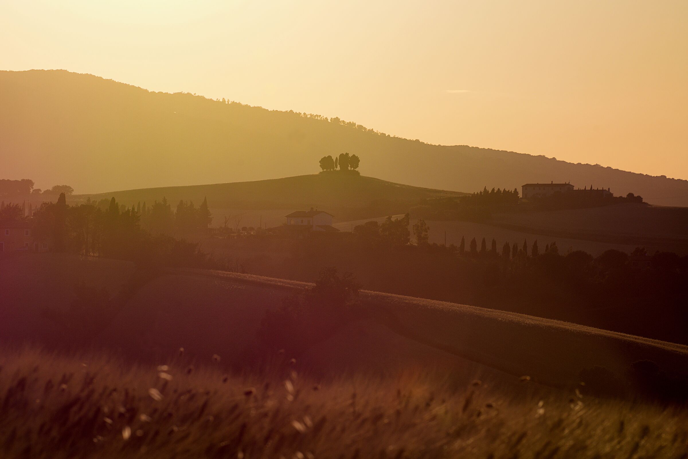 Tramonto in giallo pisano