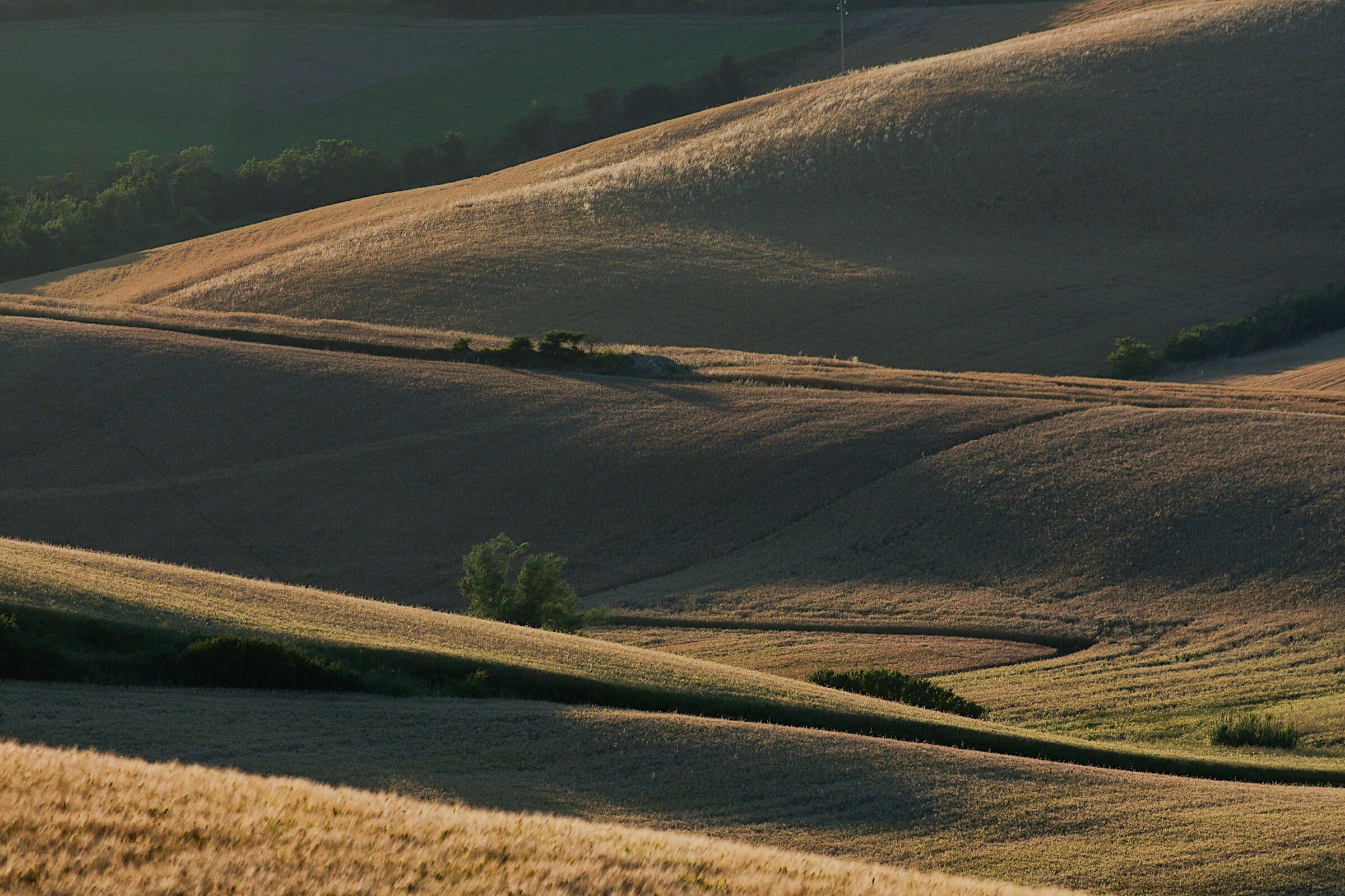 Incroci di luci e ombre