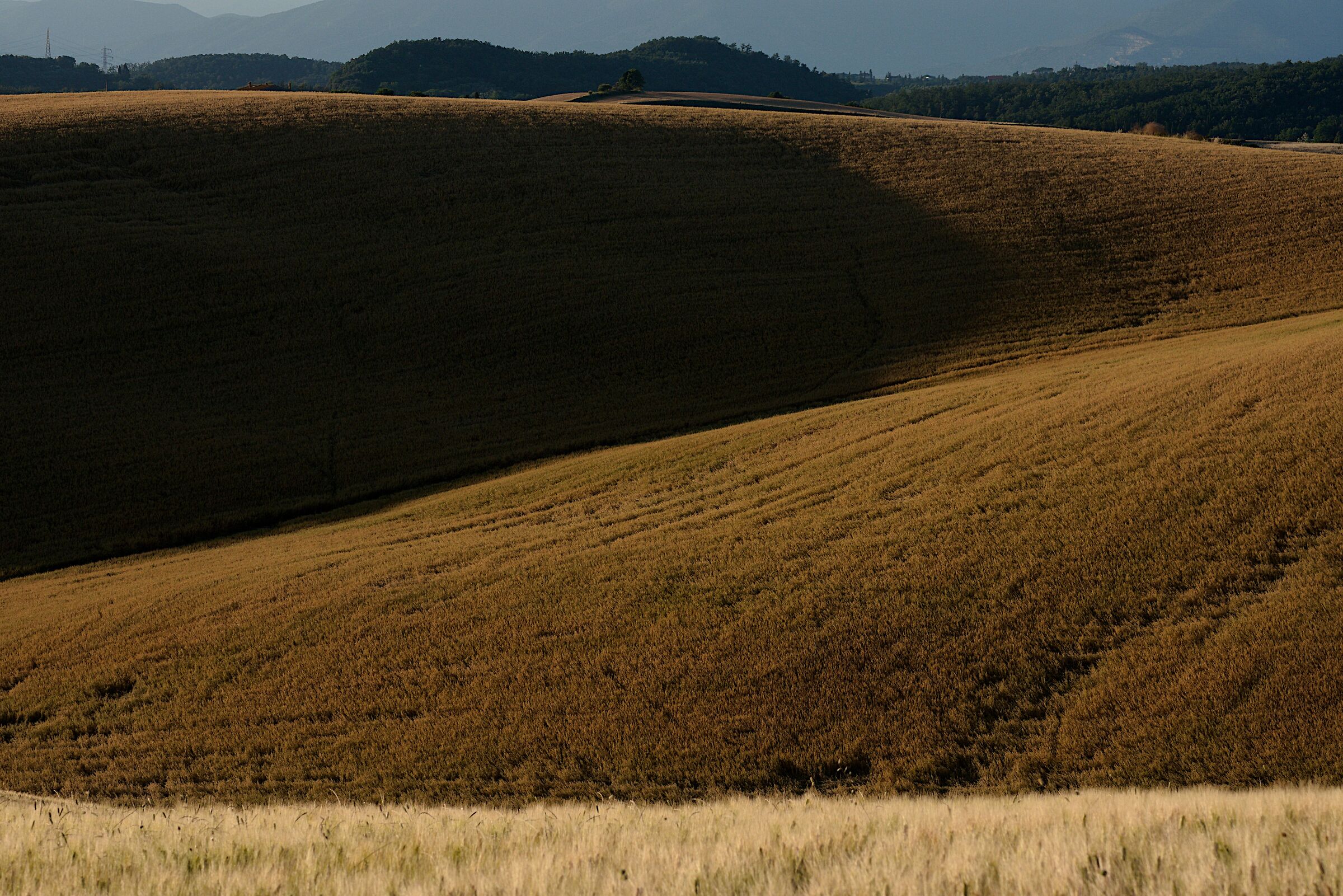 Un quasi minimal, eppure...