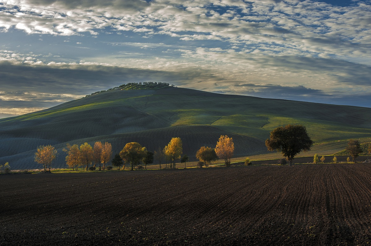 Val D'Orcia