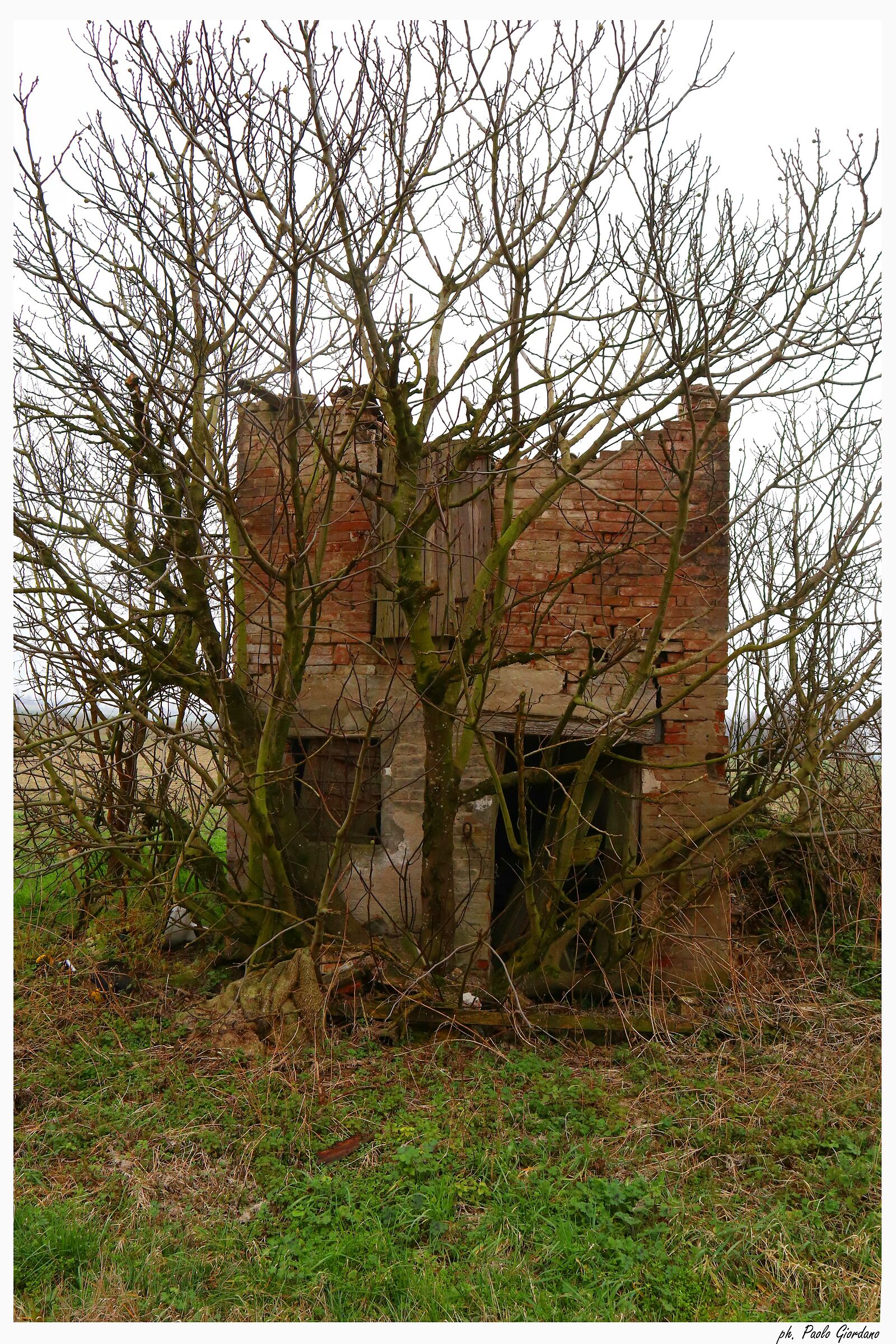 natura vs genere umano