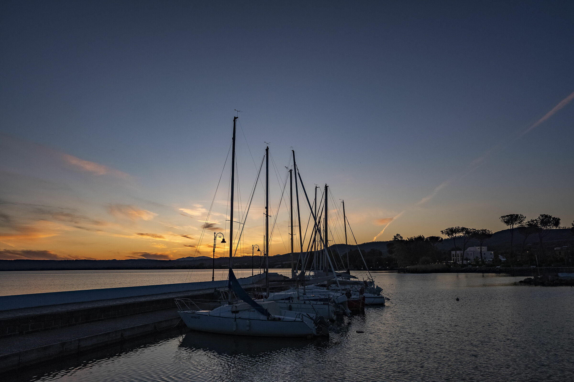 Bolsena marina