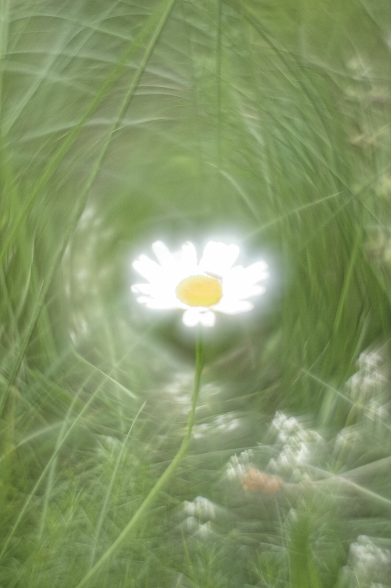 Helios 44M4 inverted lens