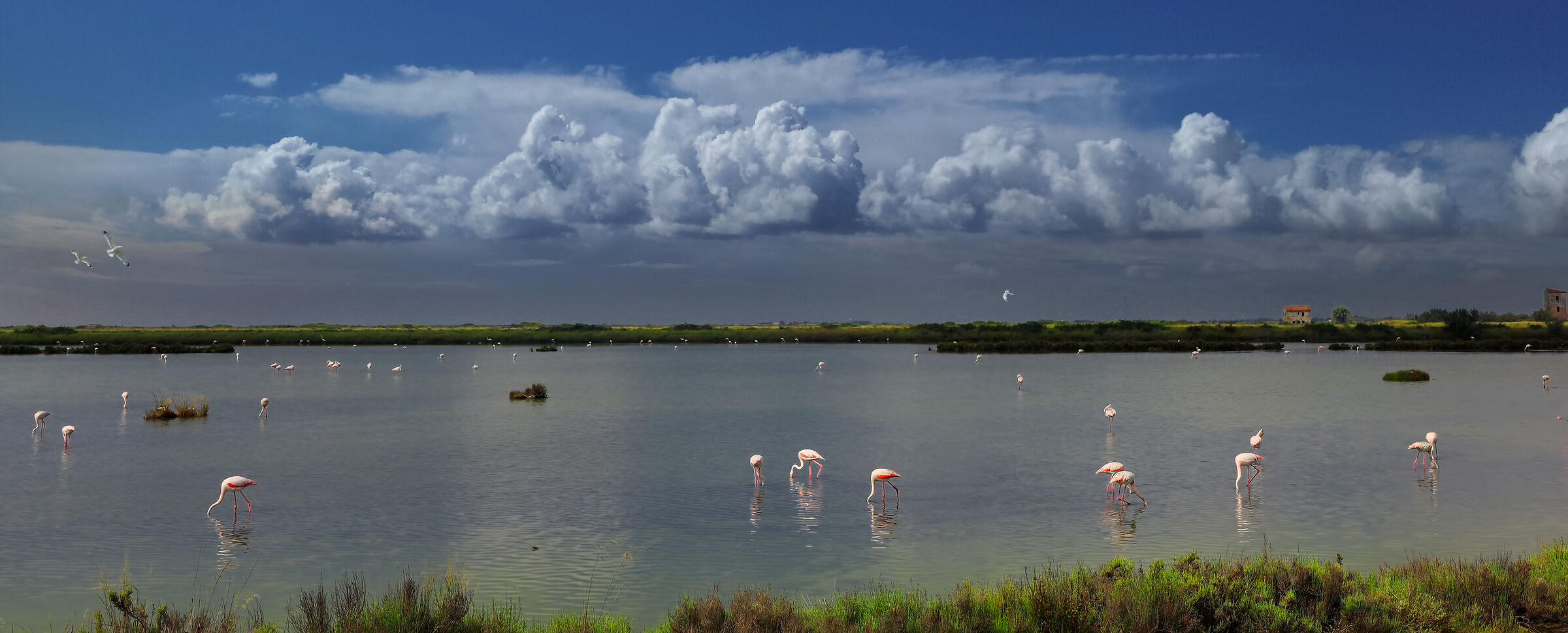 Panoramica Saline di Comacchio