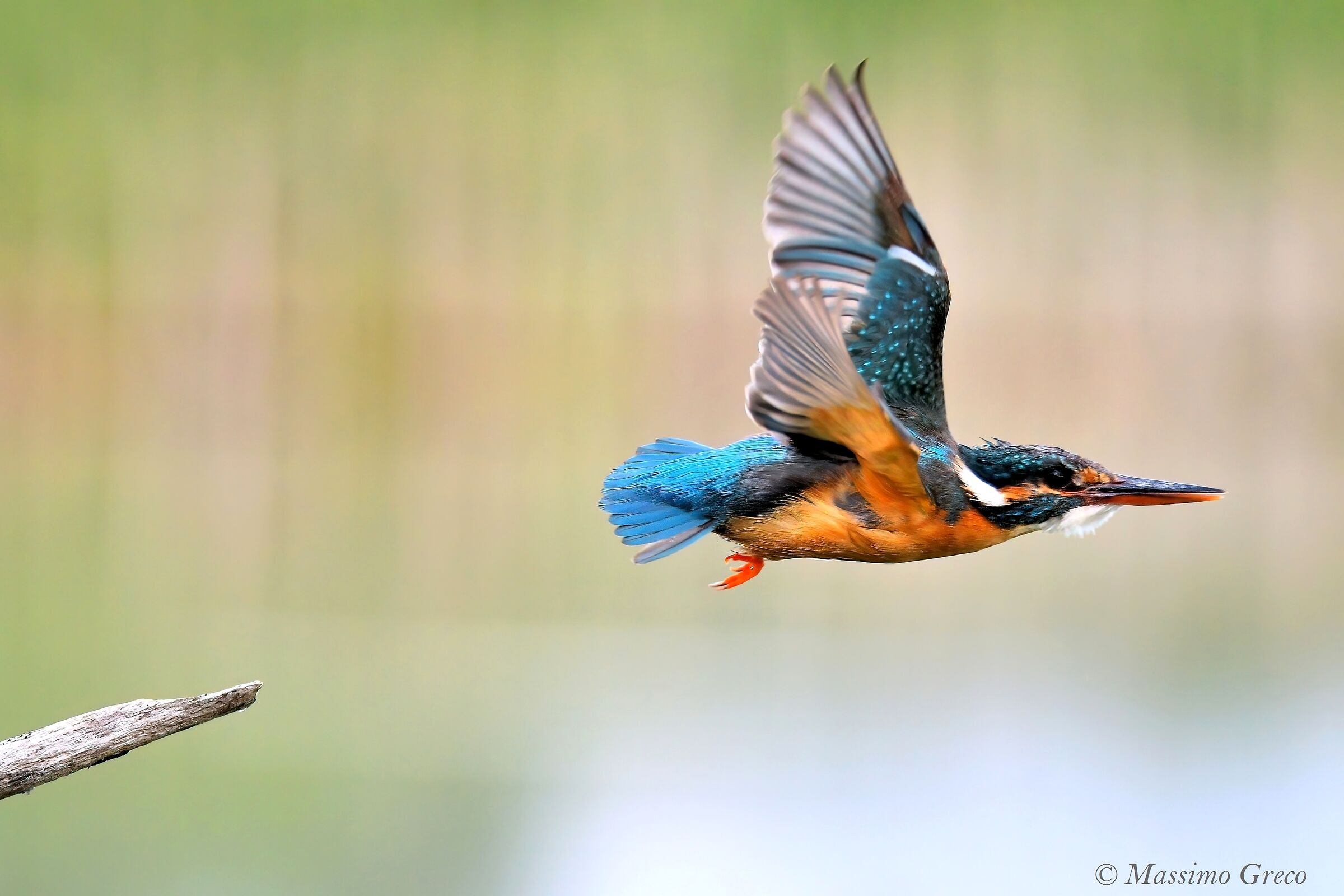 The Dead End of the Fisherman's