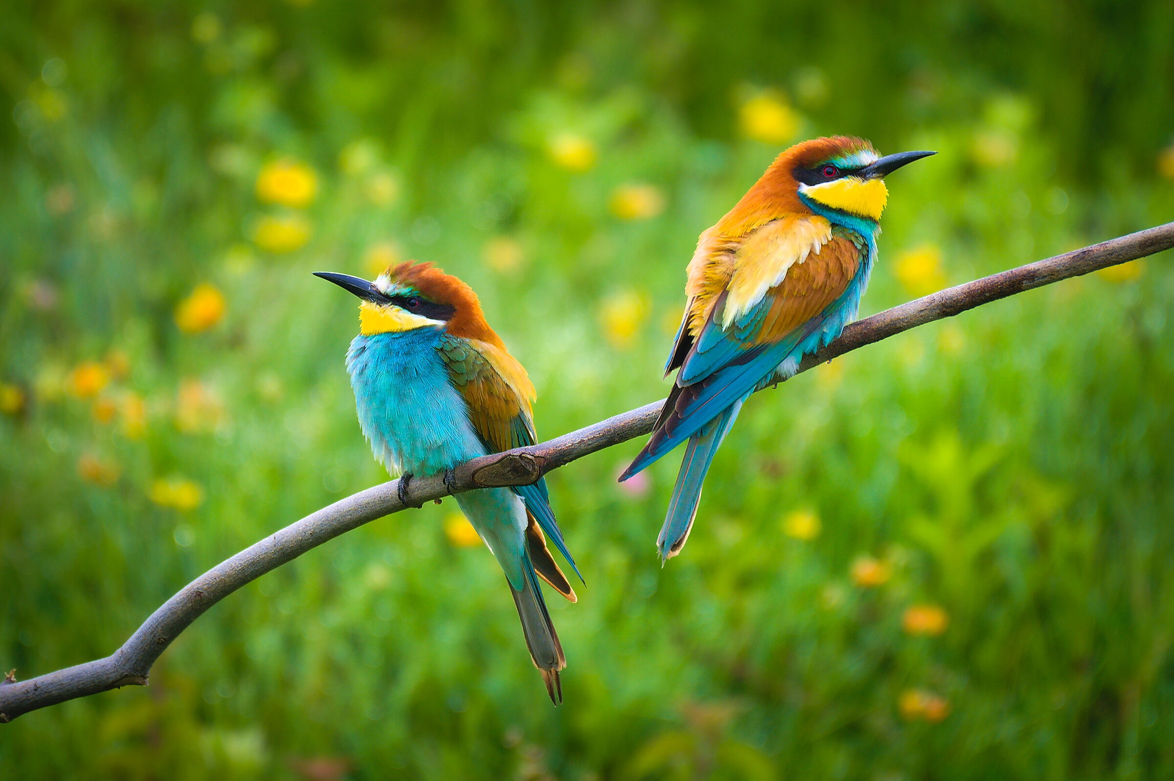 Seperated in.... on the stick