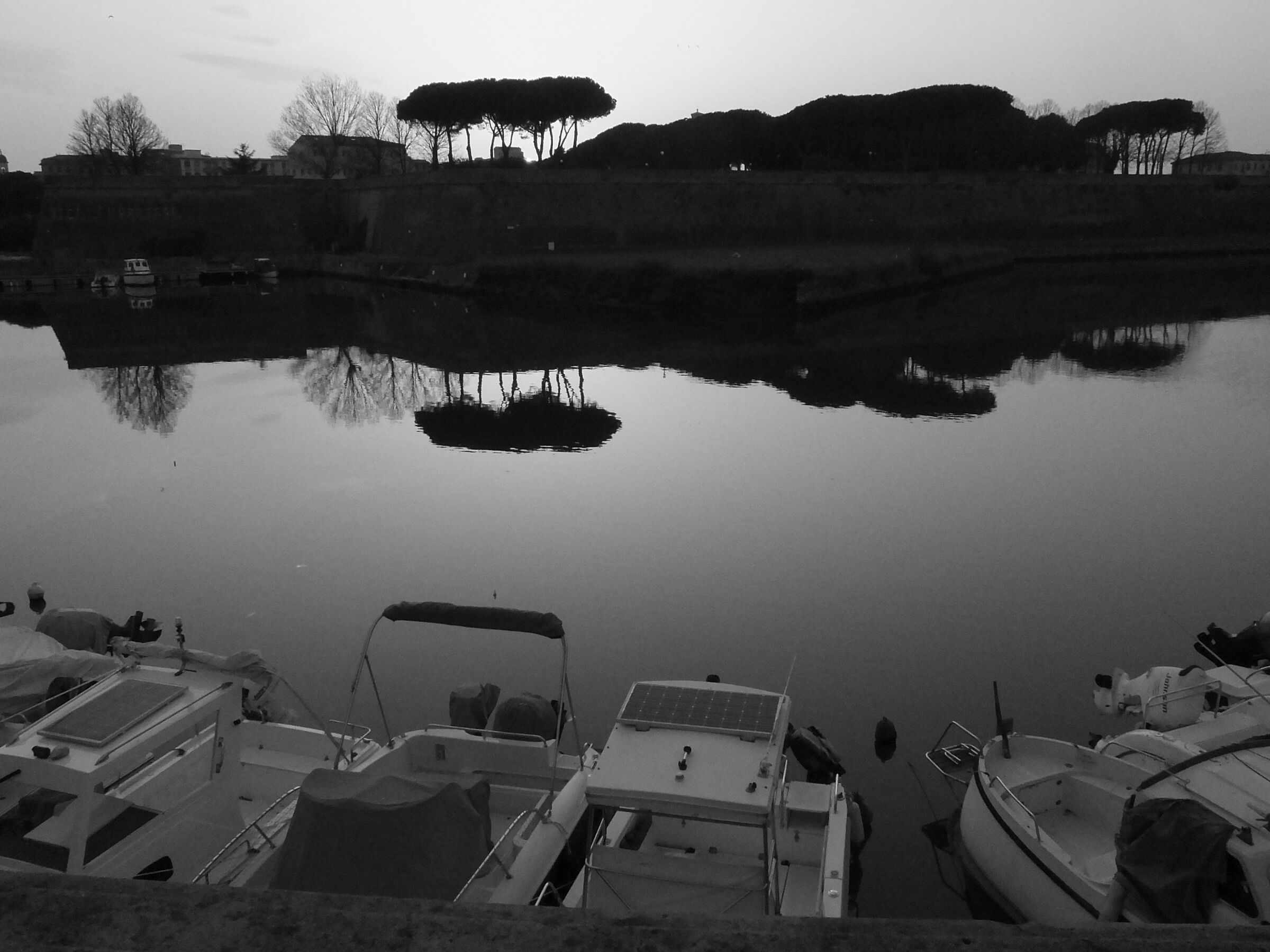 Reflecting during the Covid