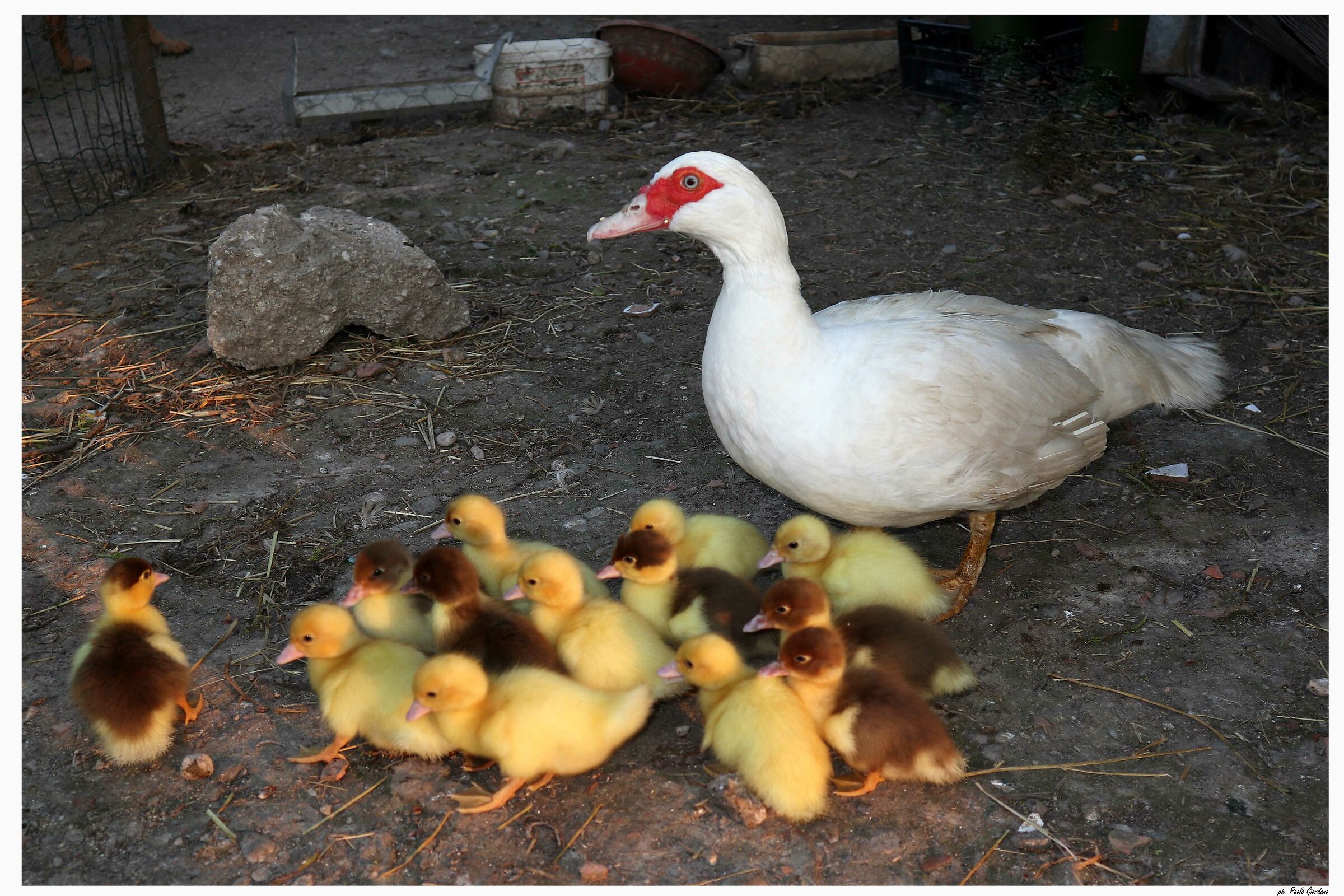 of mom there is only one