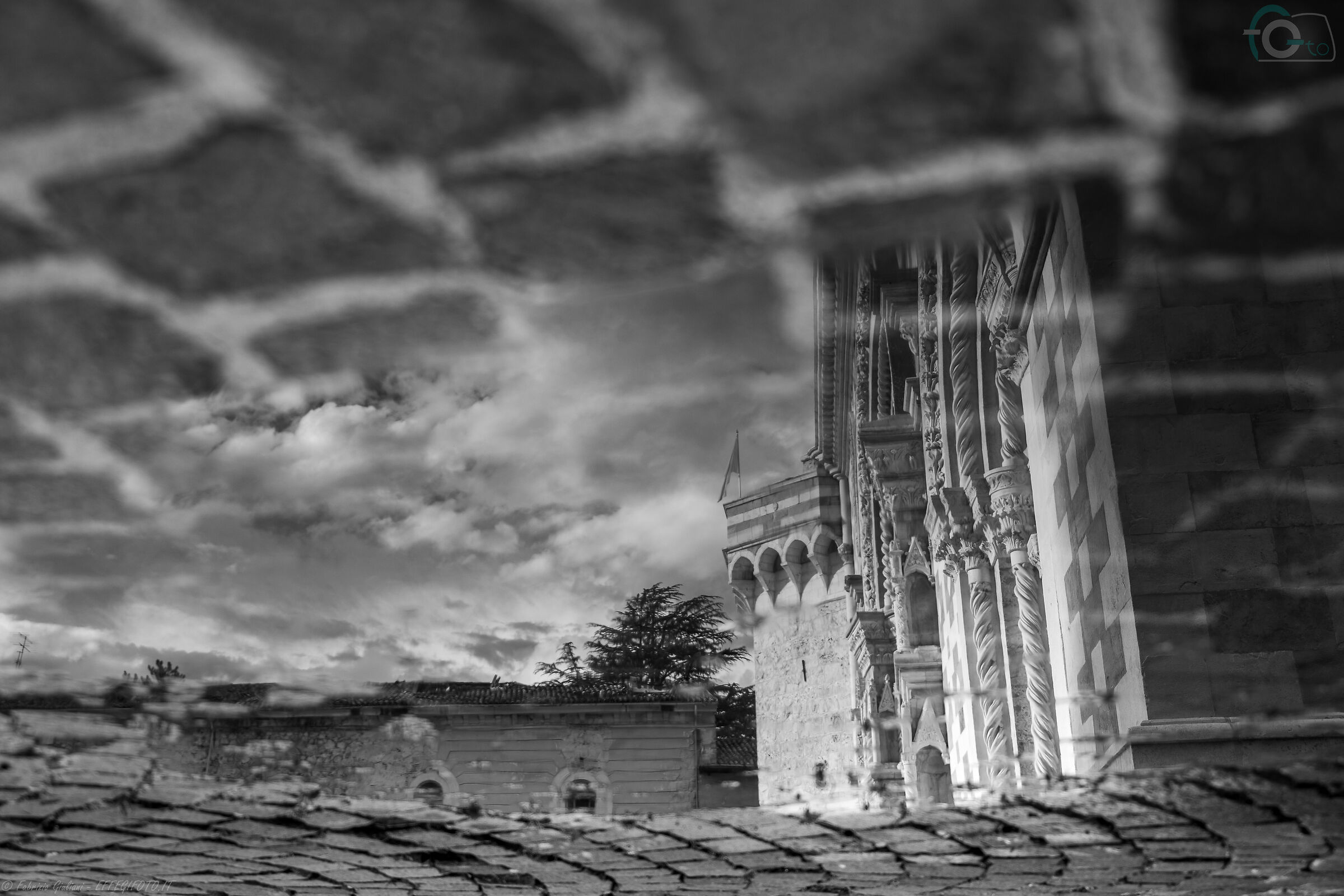 In the water upside down