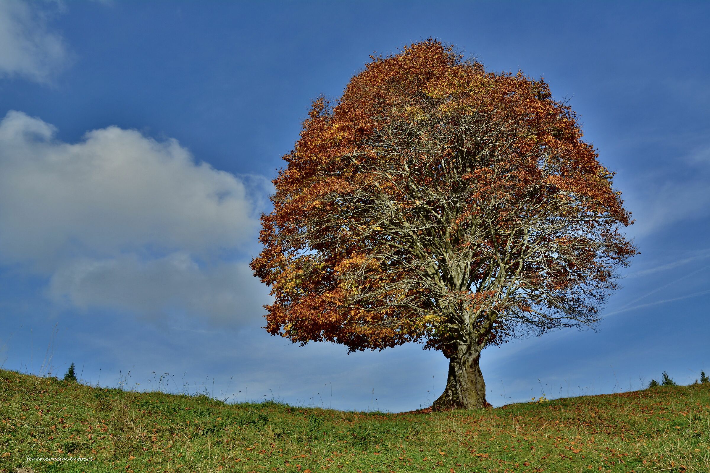 Autunno