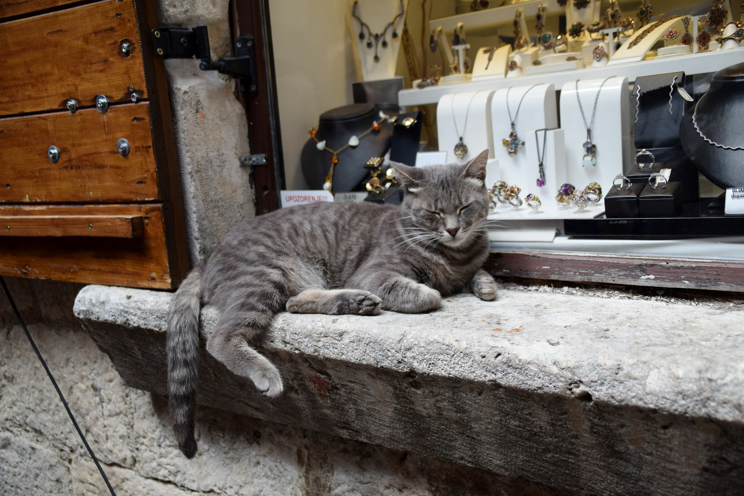 A guardia dei gioielli