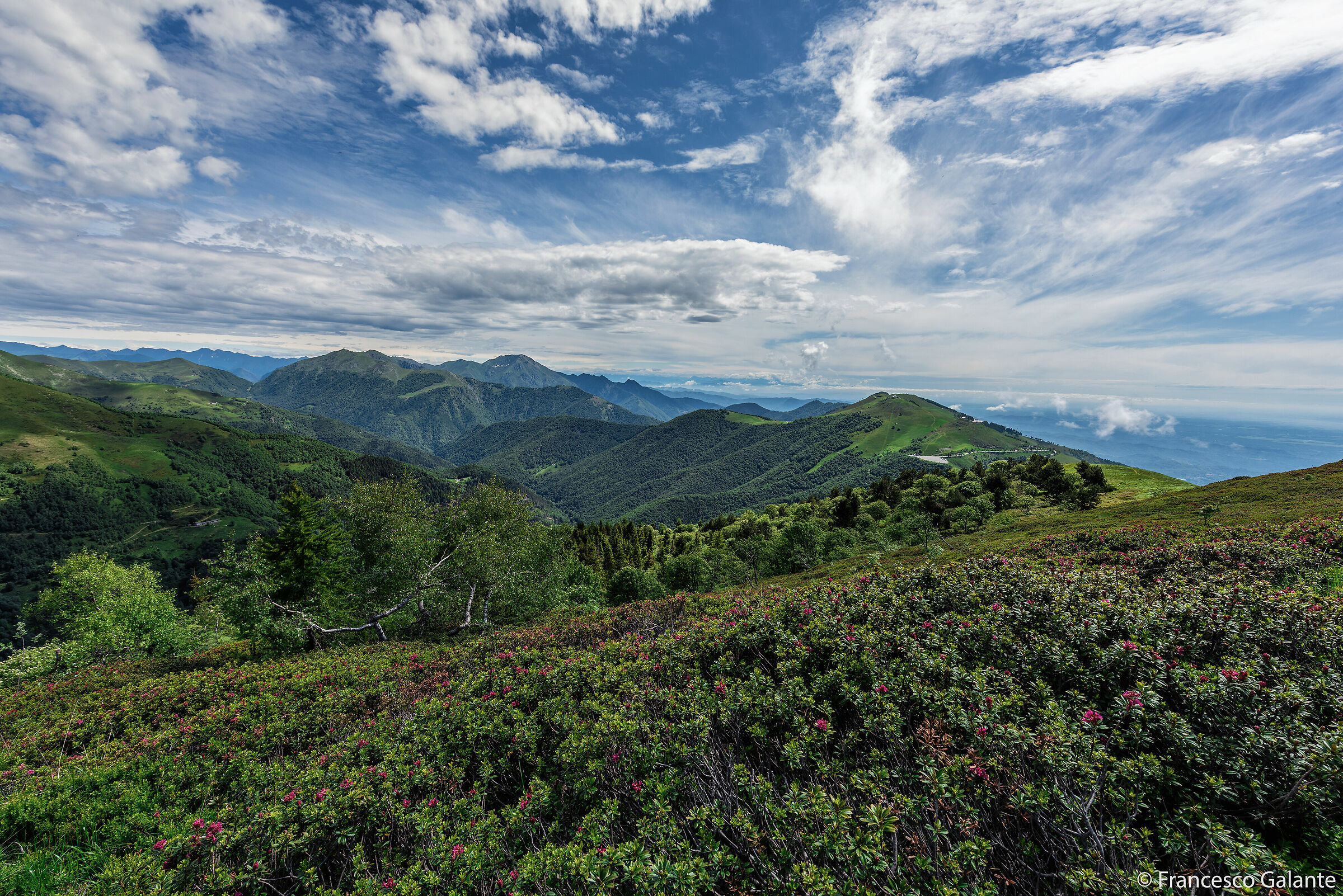 Sul Sentiero dei Narcisi - Oasi Zegna 2