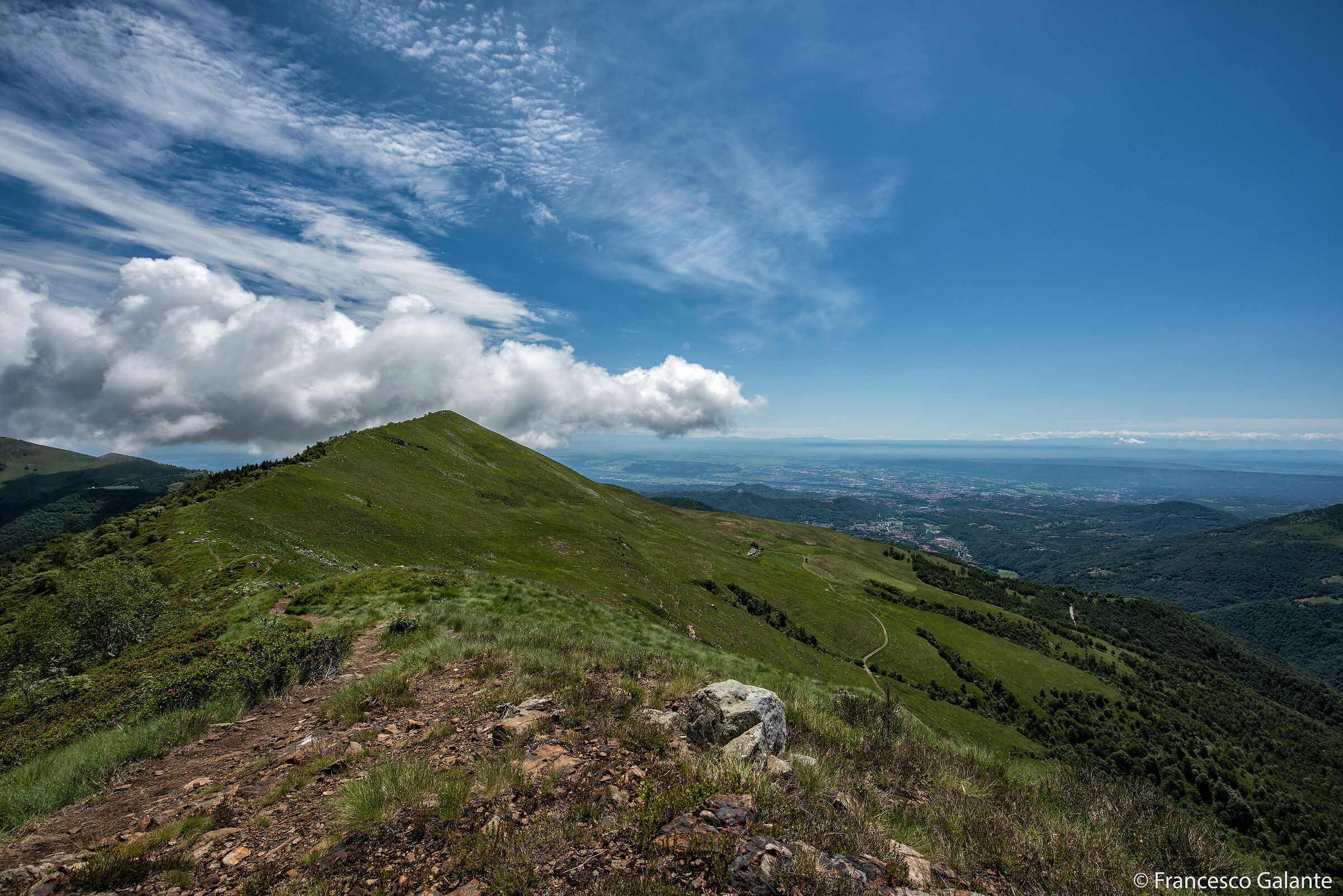 Sul Sentiero dei Narcisi - Oasi Zegna 3