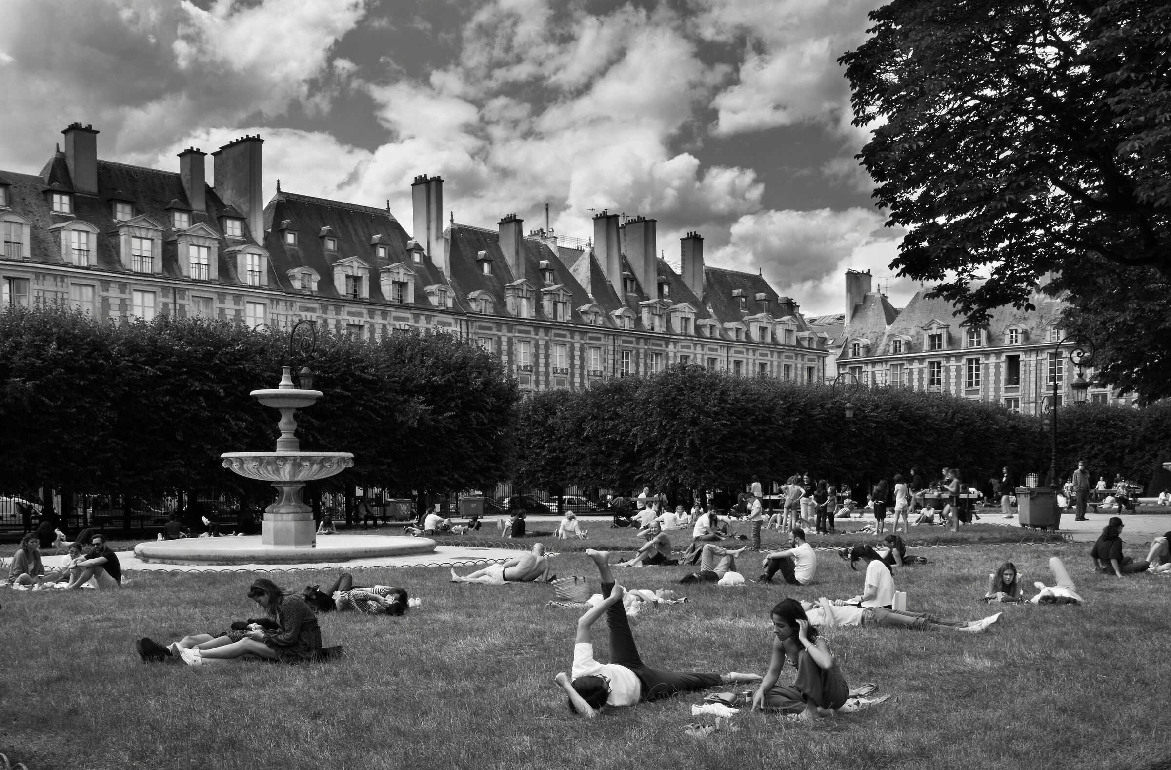Parc des vosges dopo il confinamento