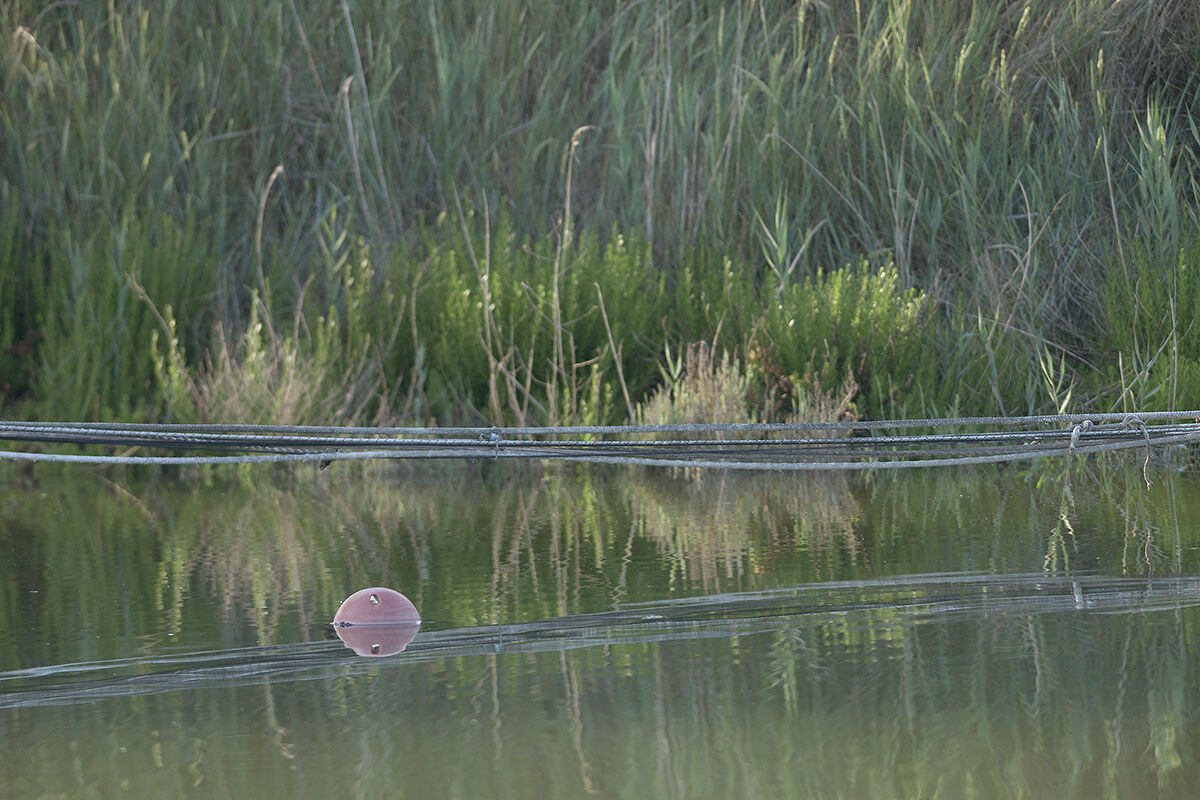 Saline di Comacchio.