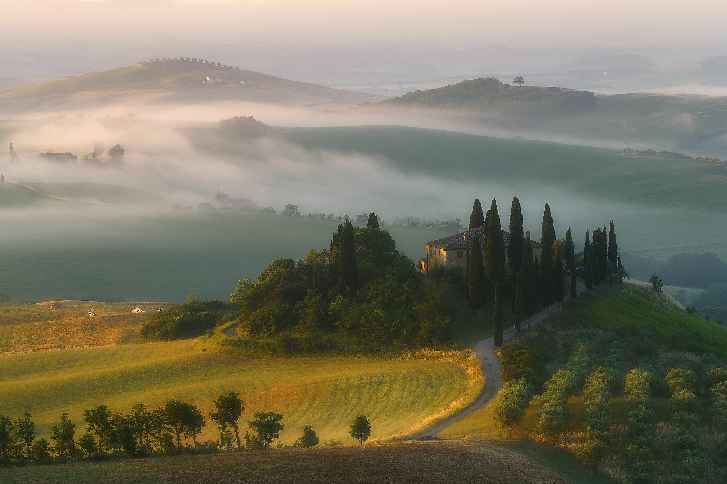 Morning fog