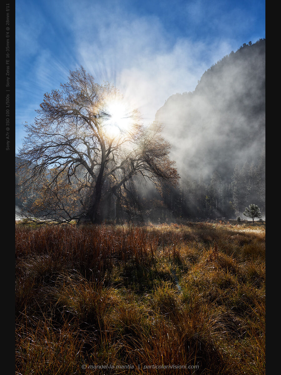 Yosemite Valley View