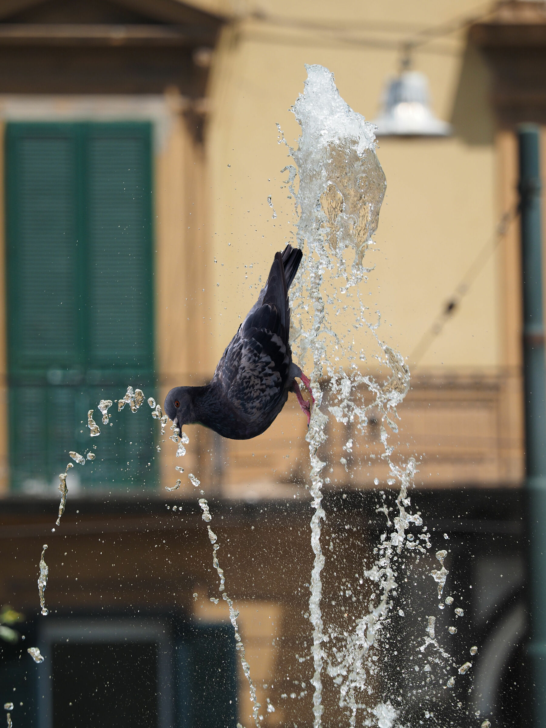 Le azioni semplici... non sono per me!