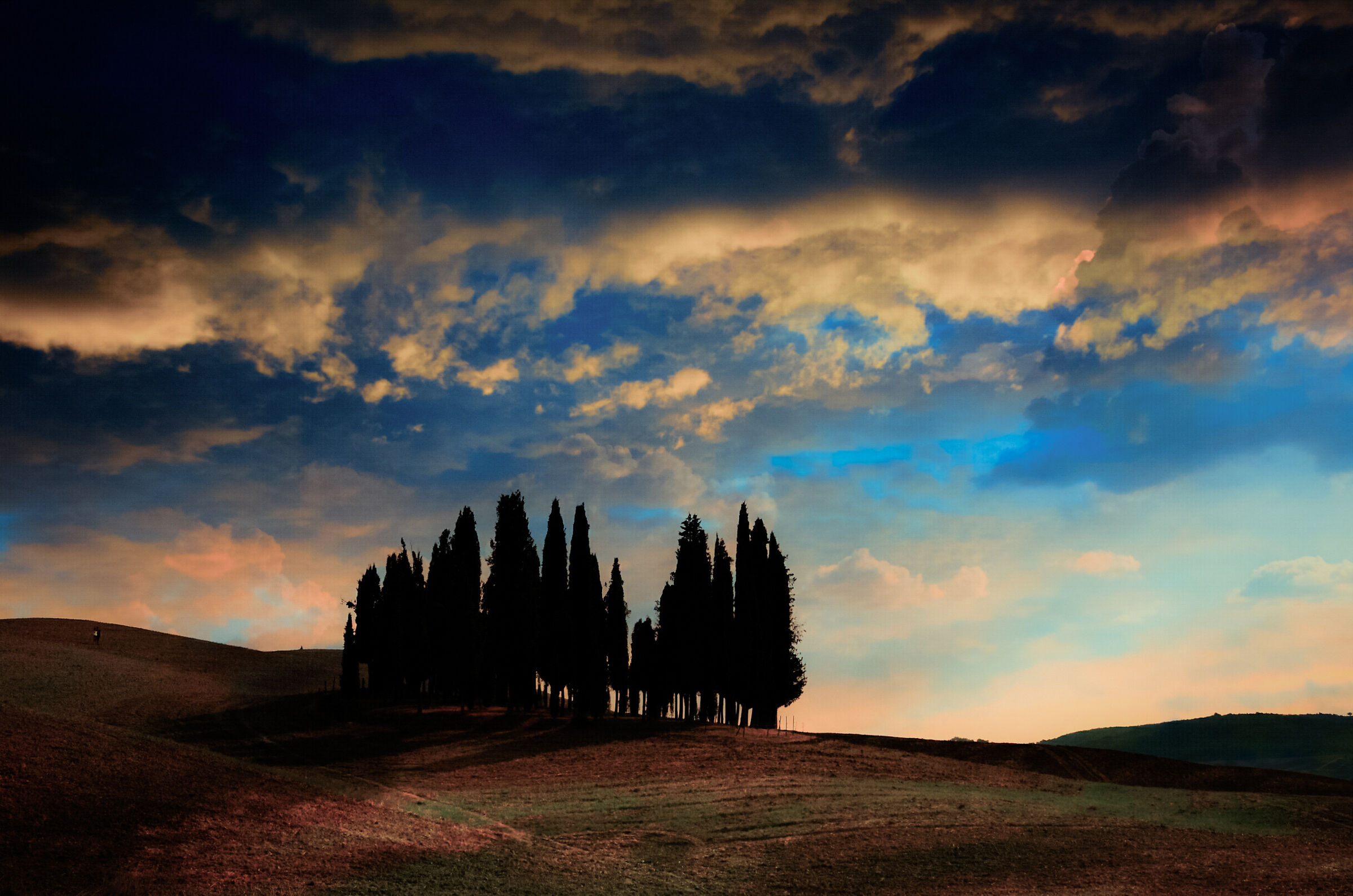 Cipressi di di San Quirico d'Orcia al tramonto