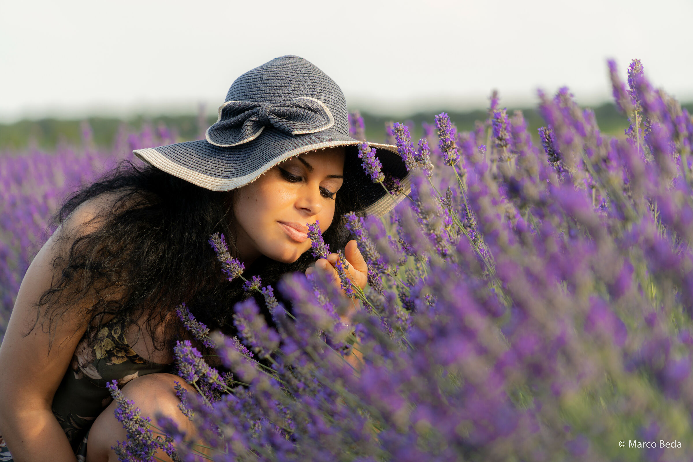 Lavanda in polesine