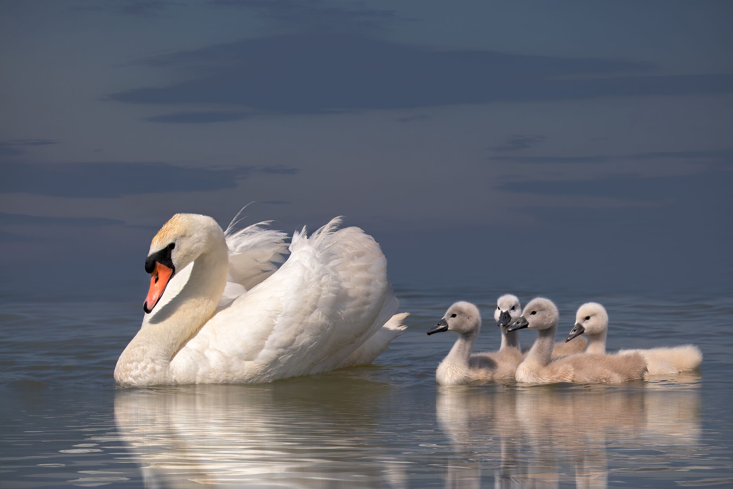 Incontri nel Parco del Mincio (mn)