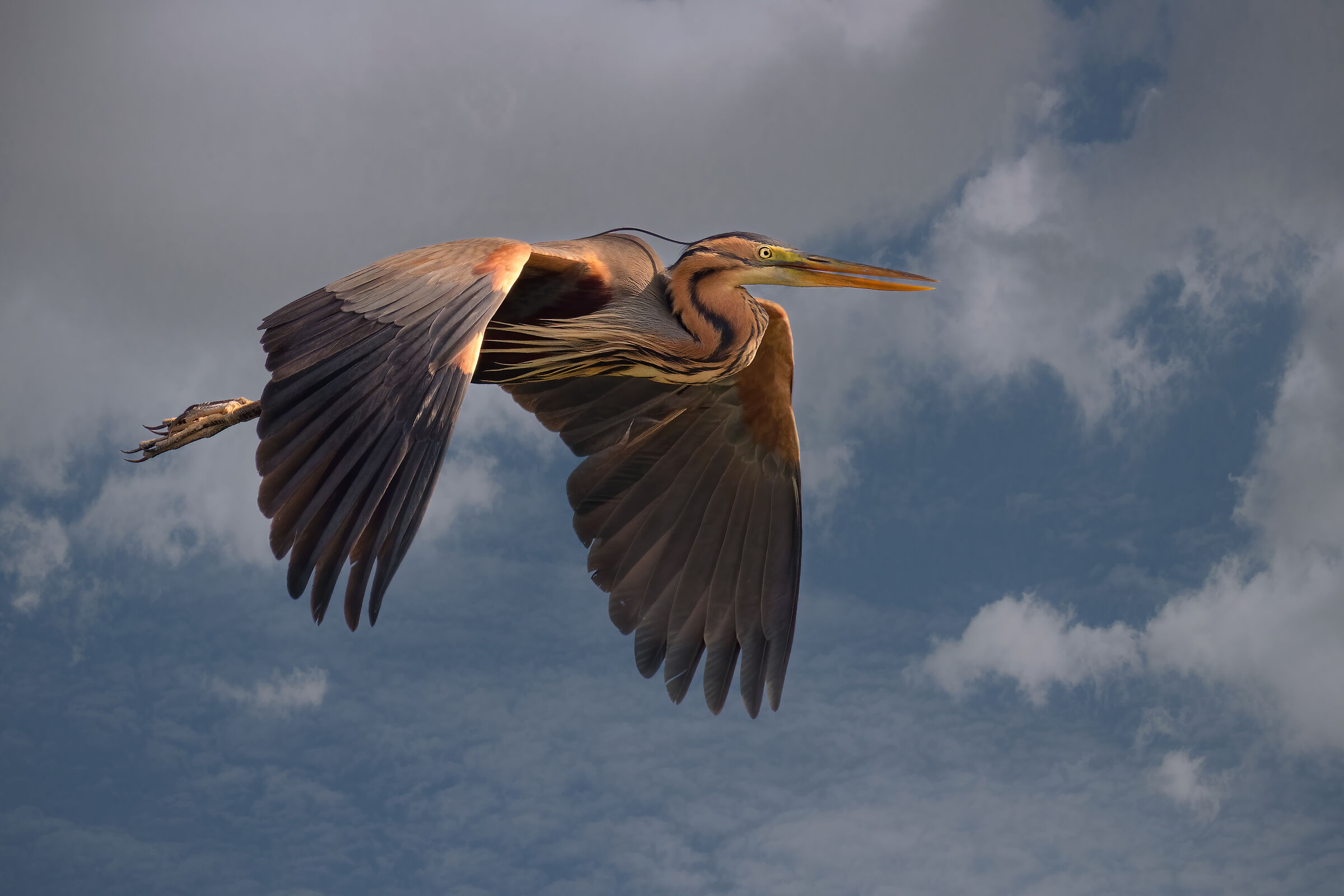 Incontri nel Parco del Mincio (mn)