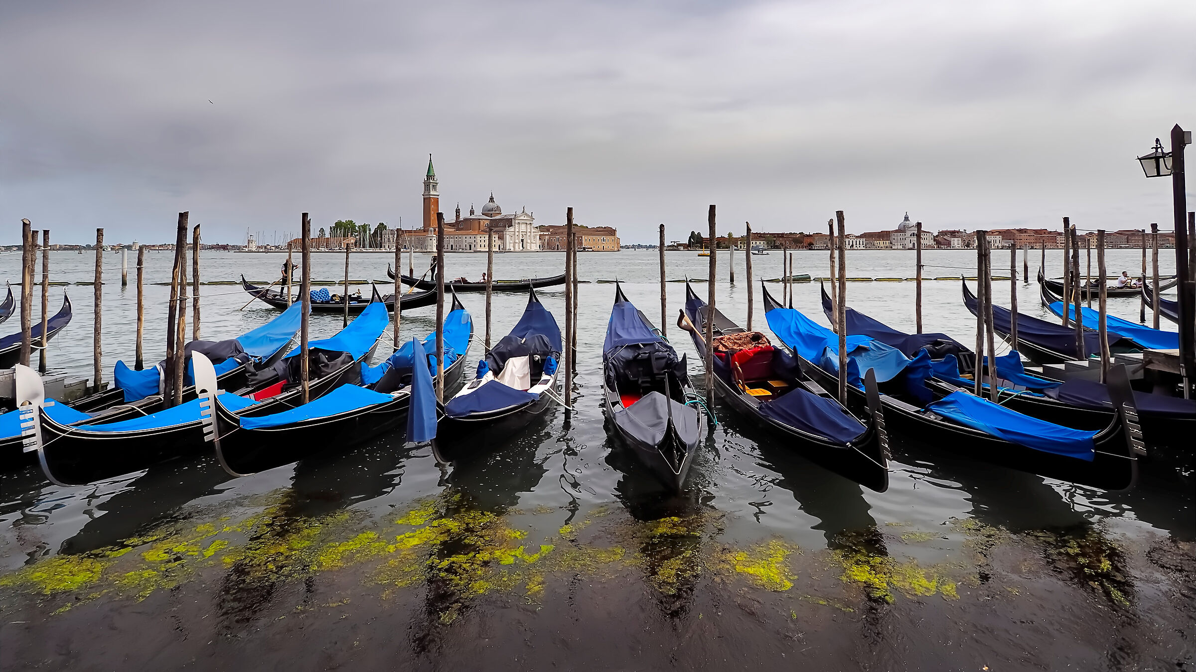 giornata plumbea in laguna