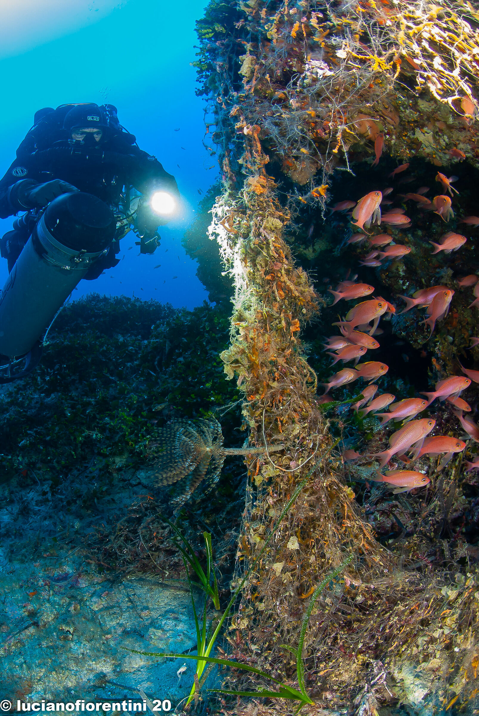 Mediterranean environment