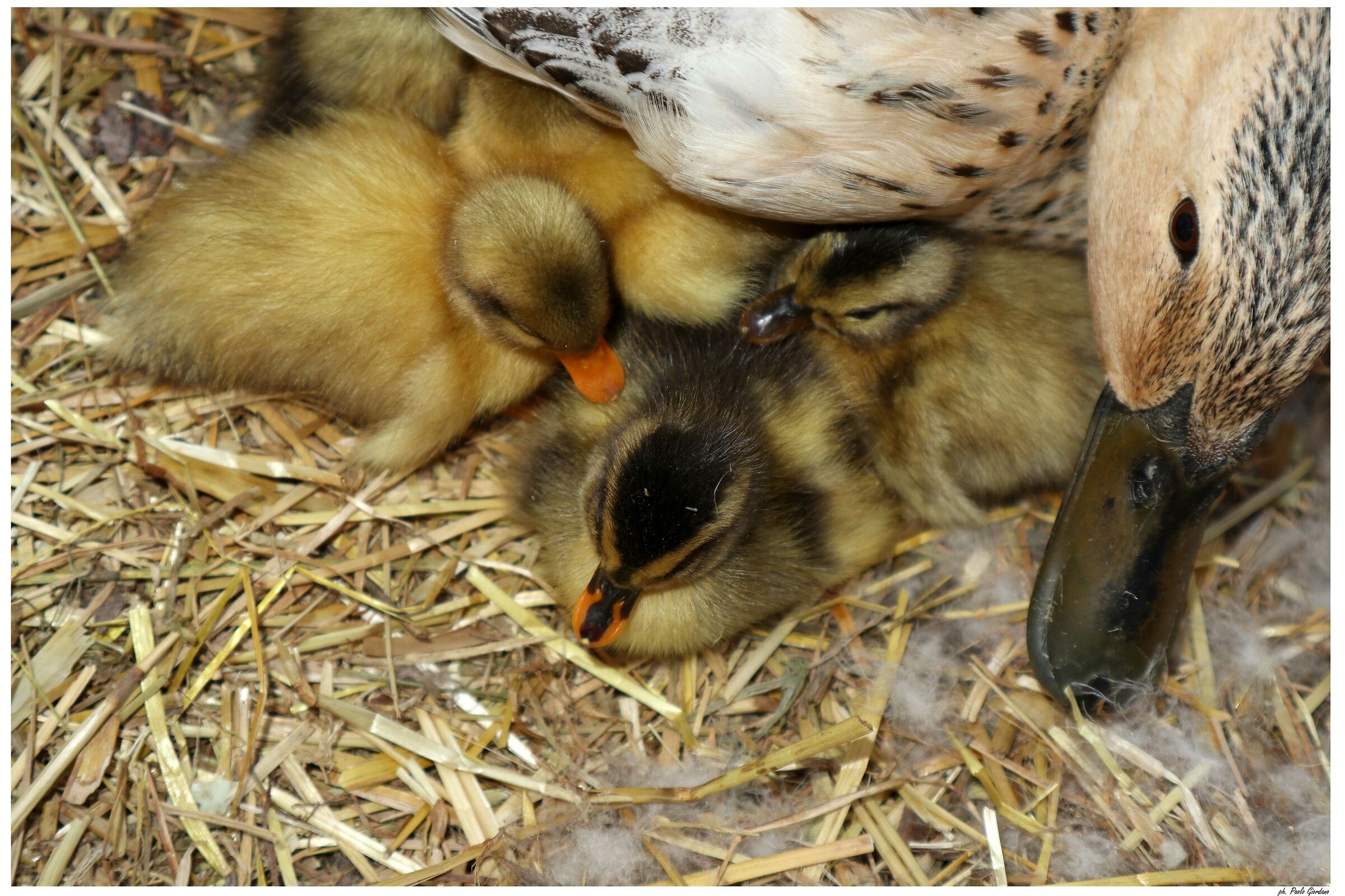 of mom there's only one-part second