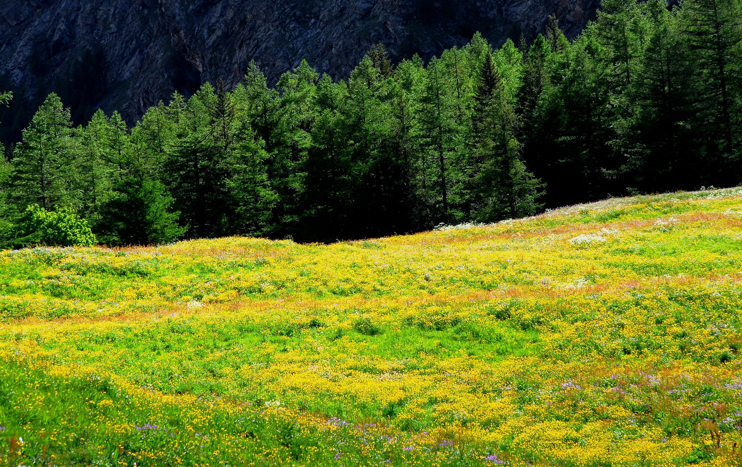 You breathe, again...!!!