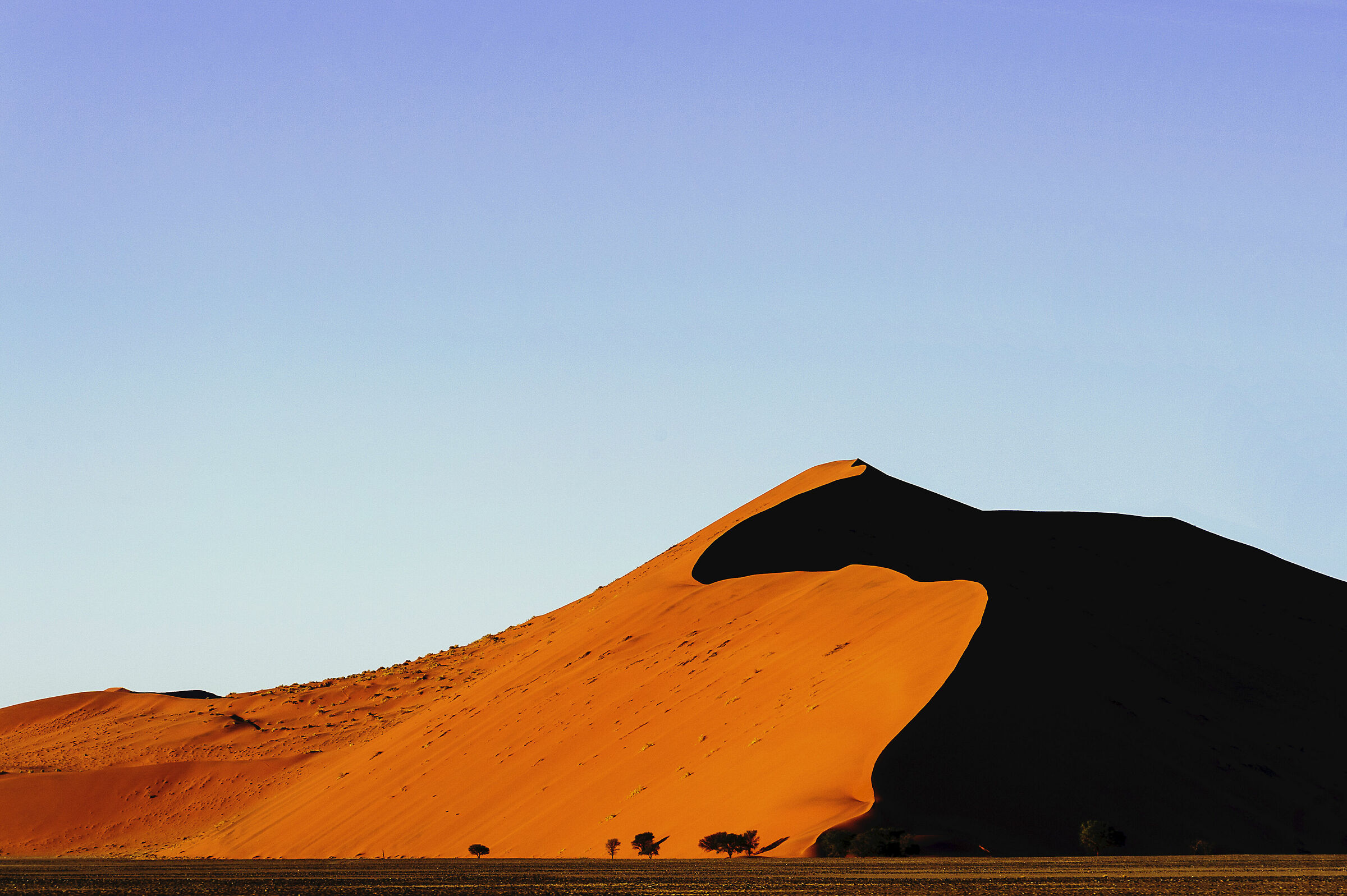 L'altra faccia della....duna