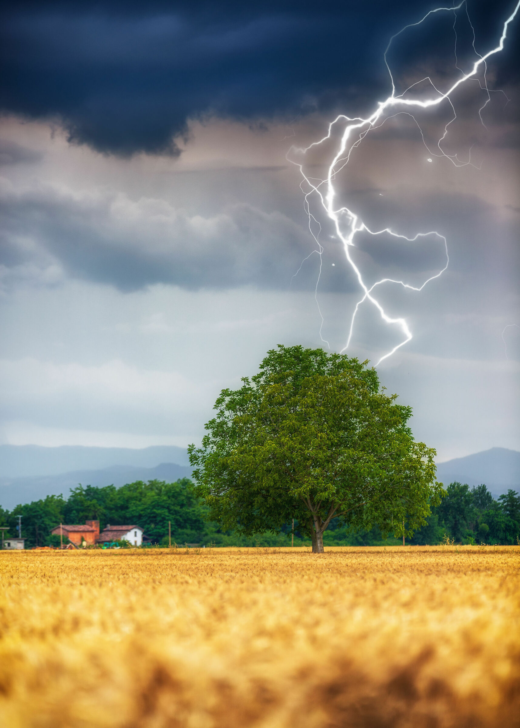 una tranquilla giornata di primavera