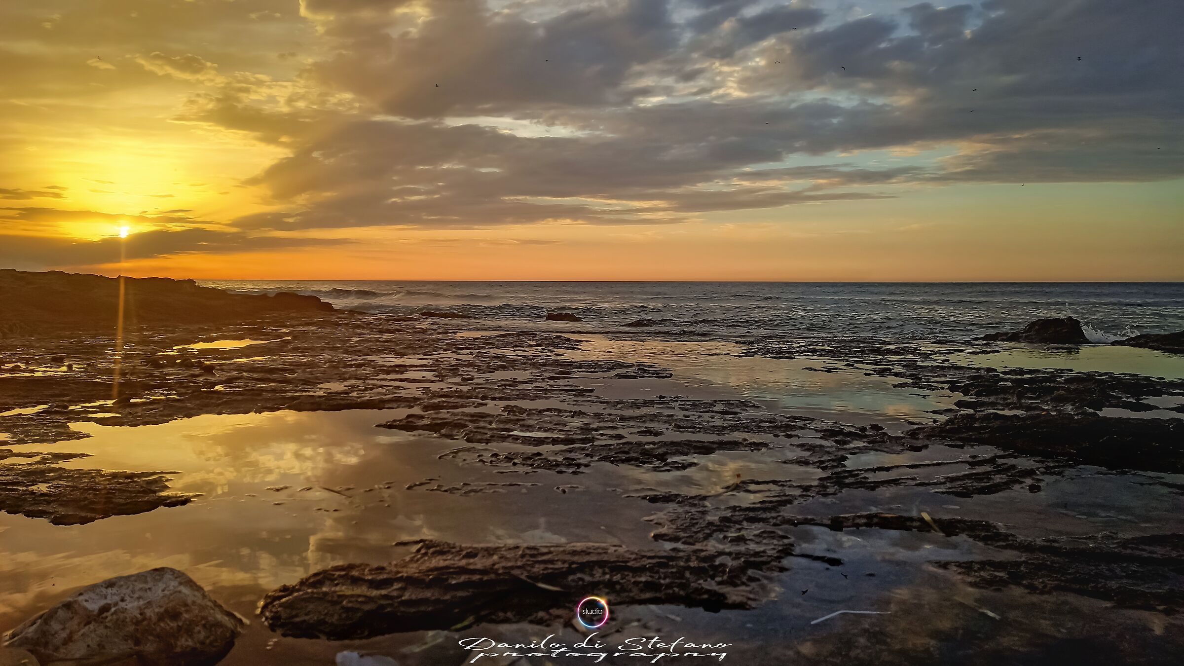 Long sea of cute ( PA )