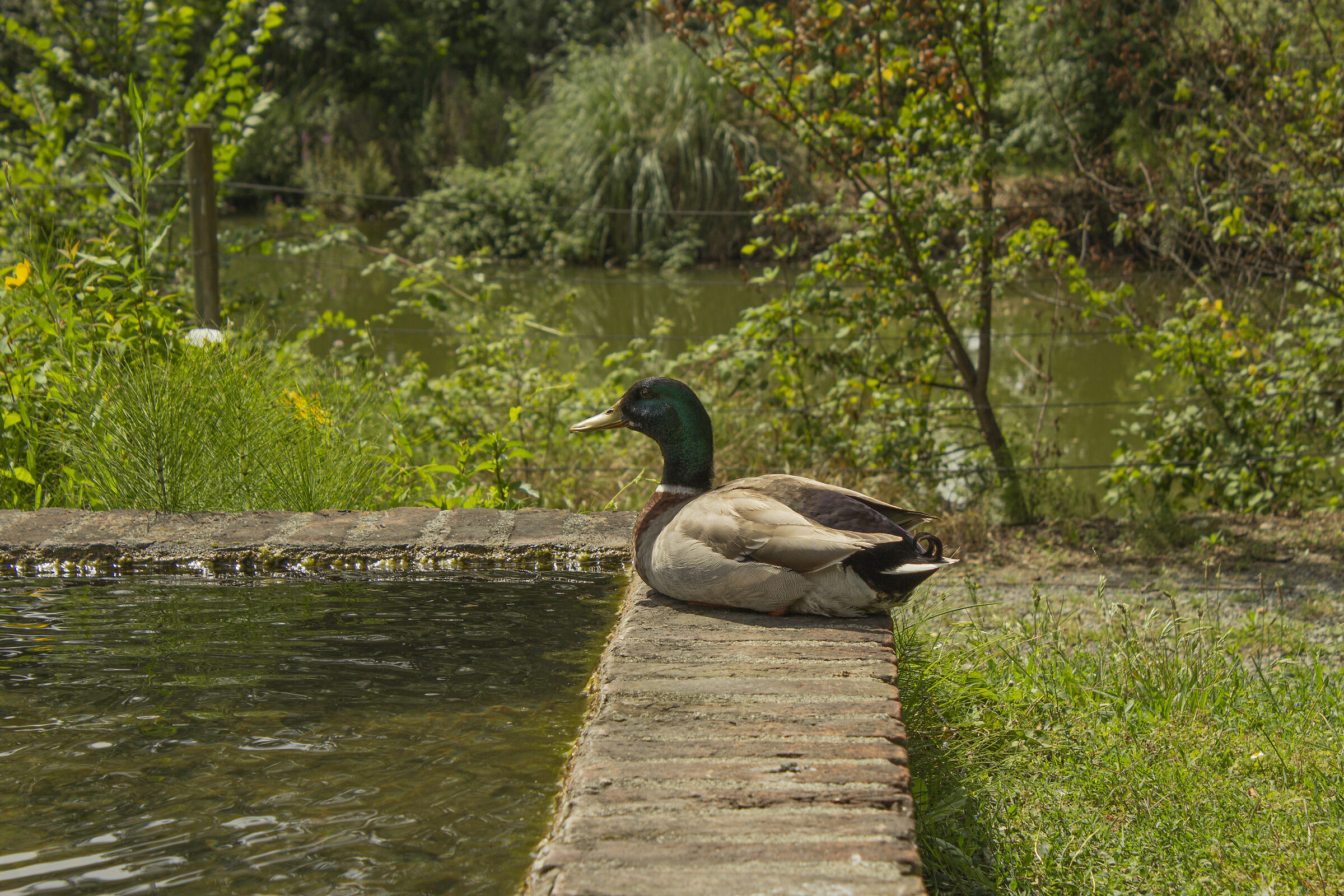 The beauty of Nature