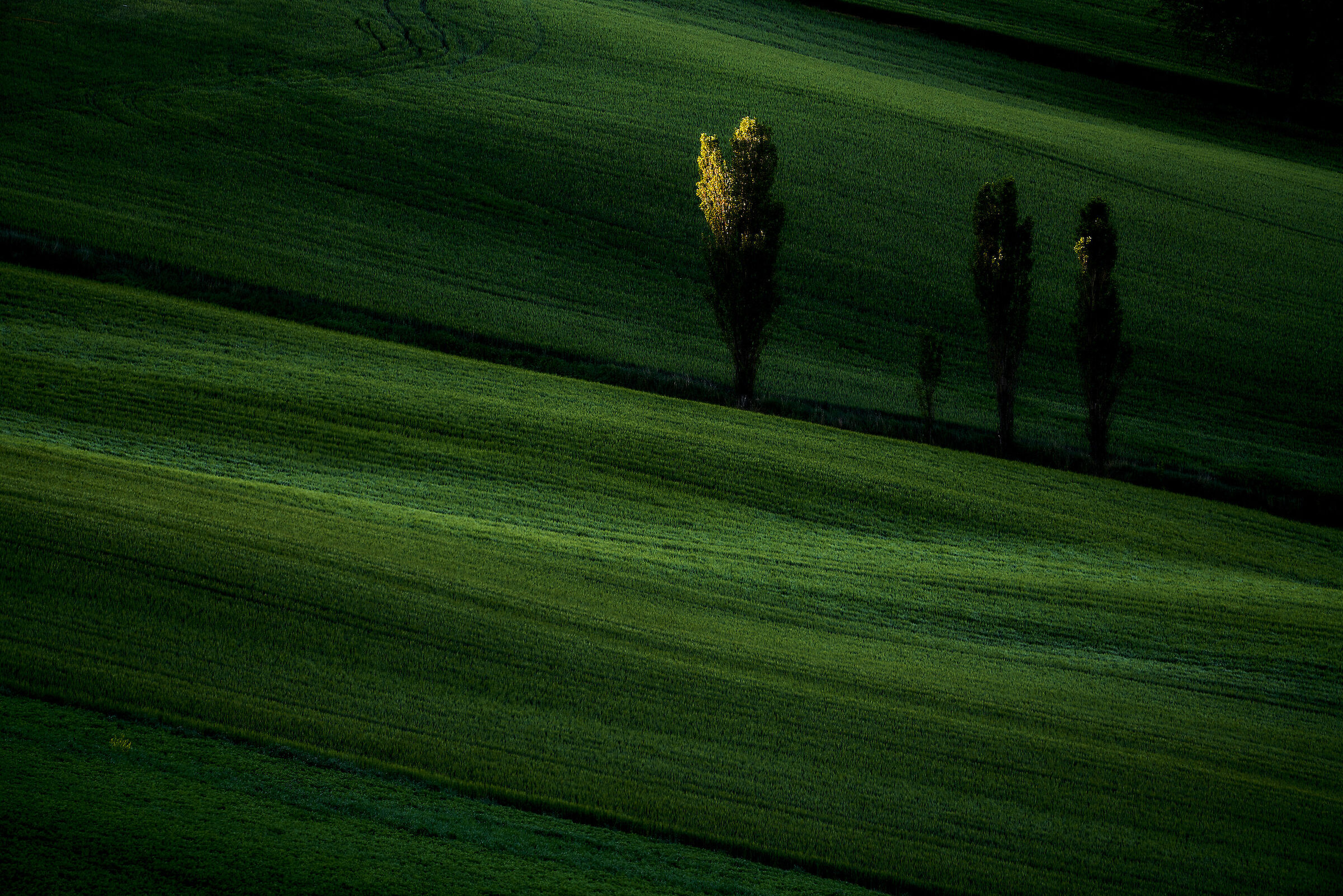 Luce del mattino