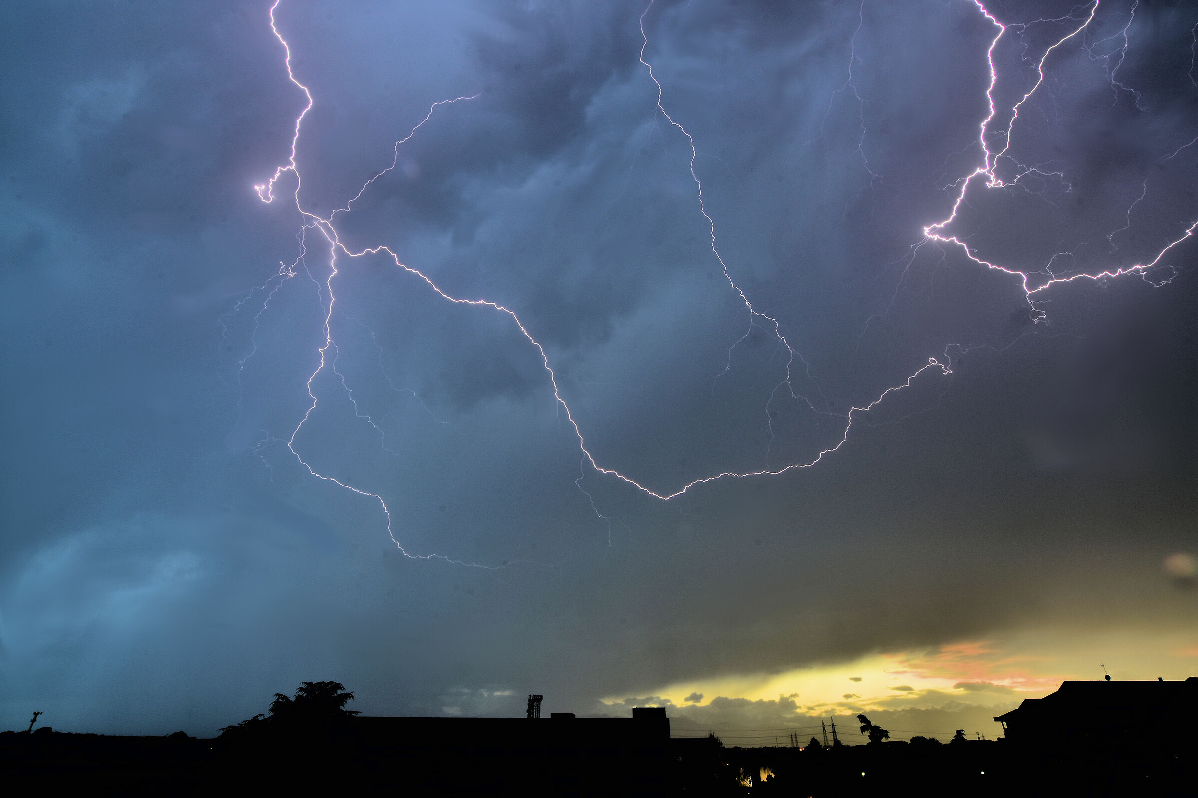 Zeuss continua ad amarci..