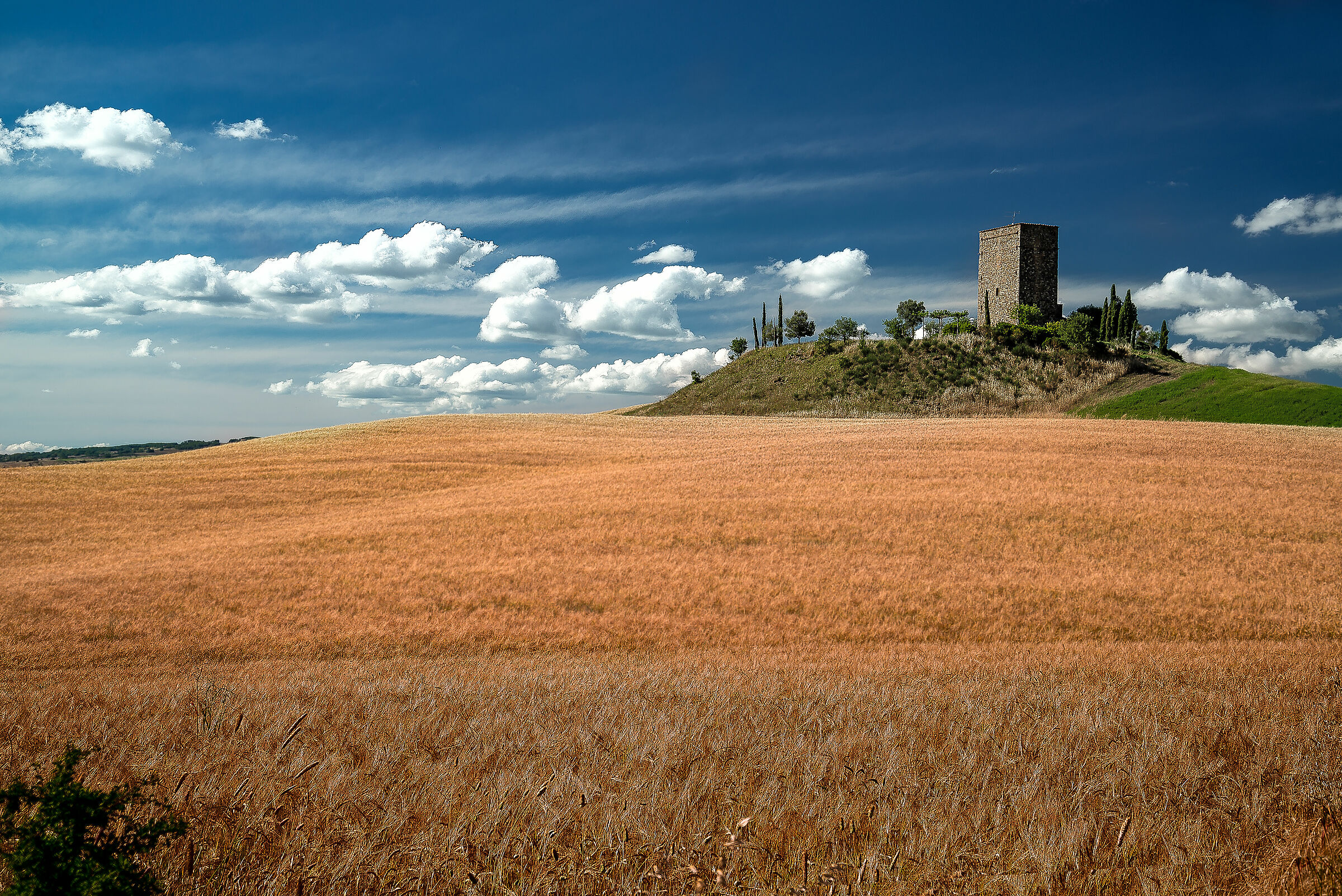 Torre Tarugi Pienza SI