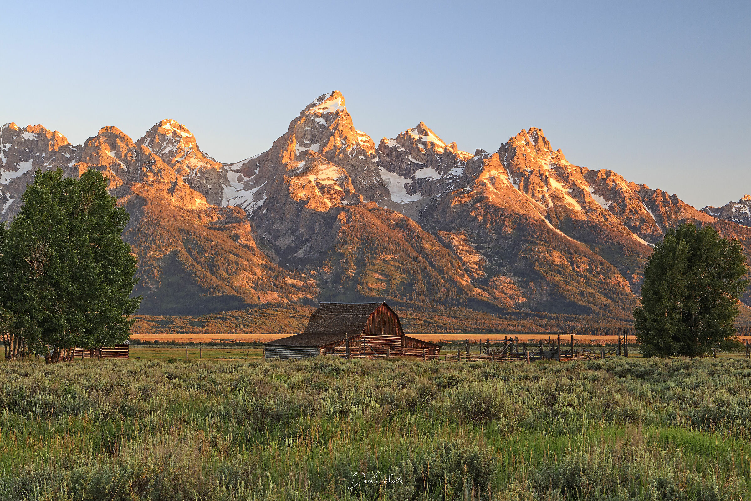 Teton Iconic