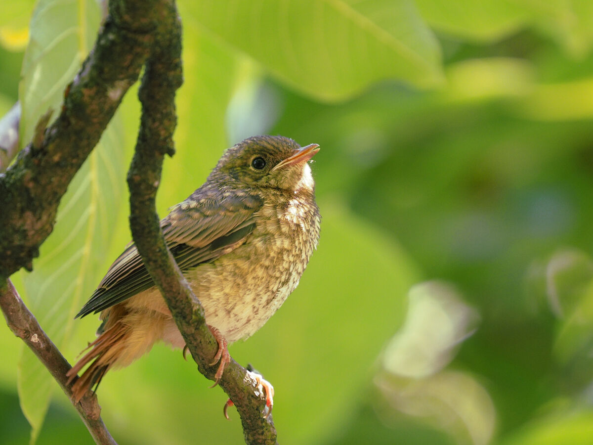 Waiting for the gruel!!