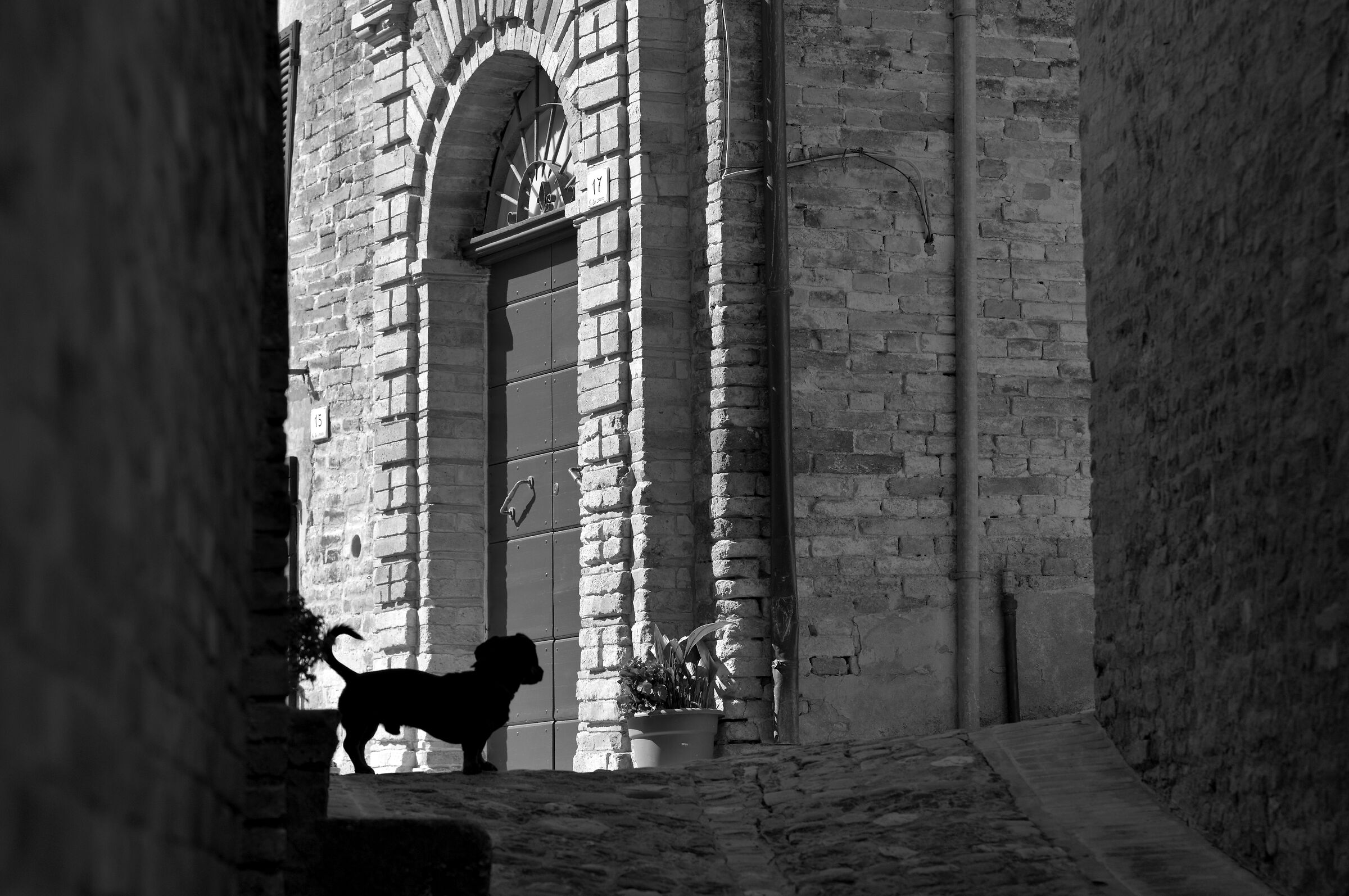 Il Guardiano