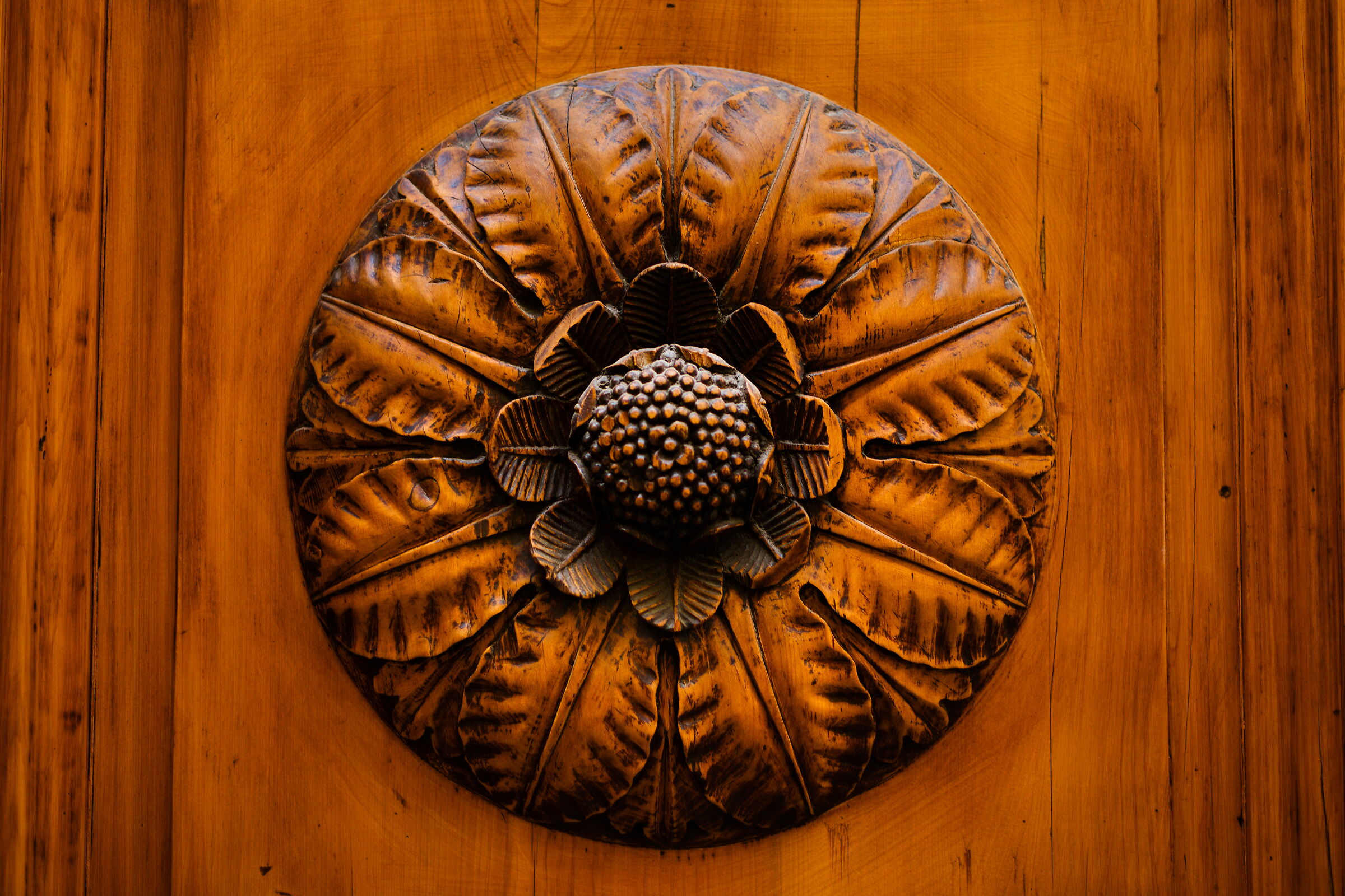 Dettaglio di un portone di Firenze