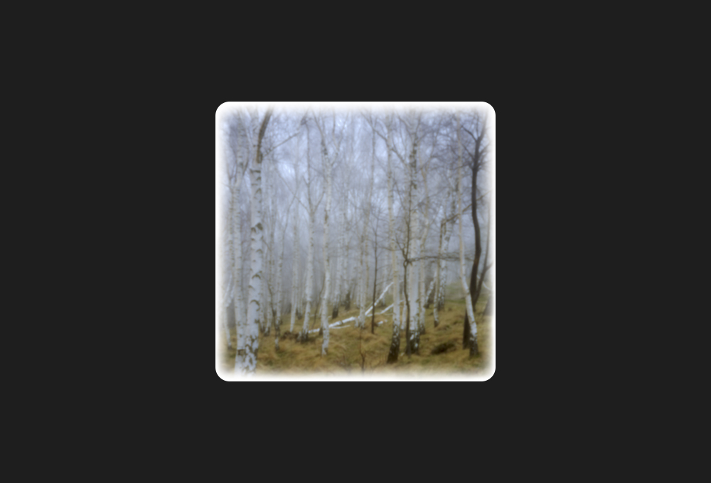 foresta di betulla, 2014