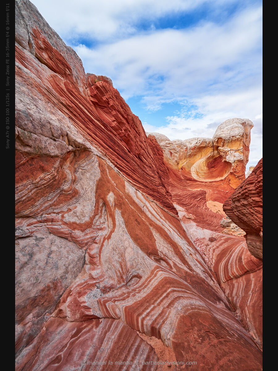 White Pocket, New1001