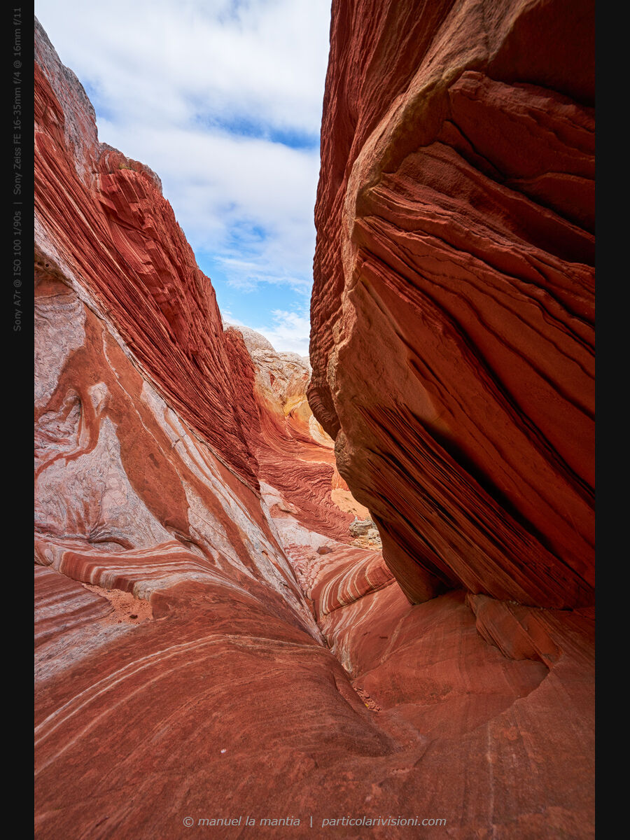 White Pocket, New1001