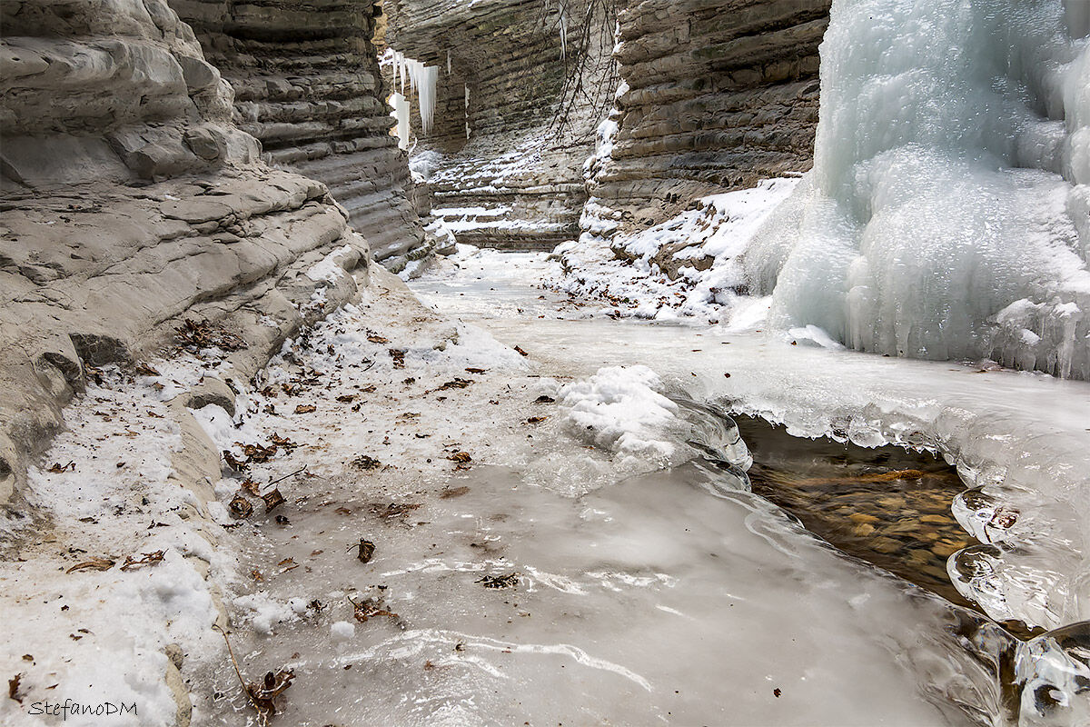 Brent de l' Art , inverno 2017